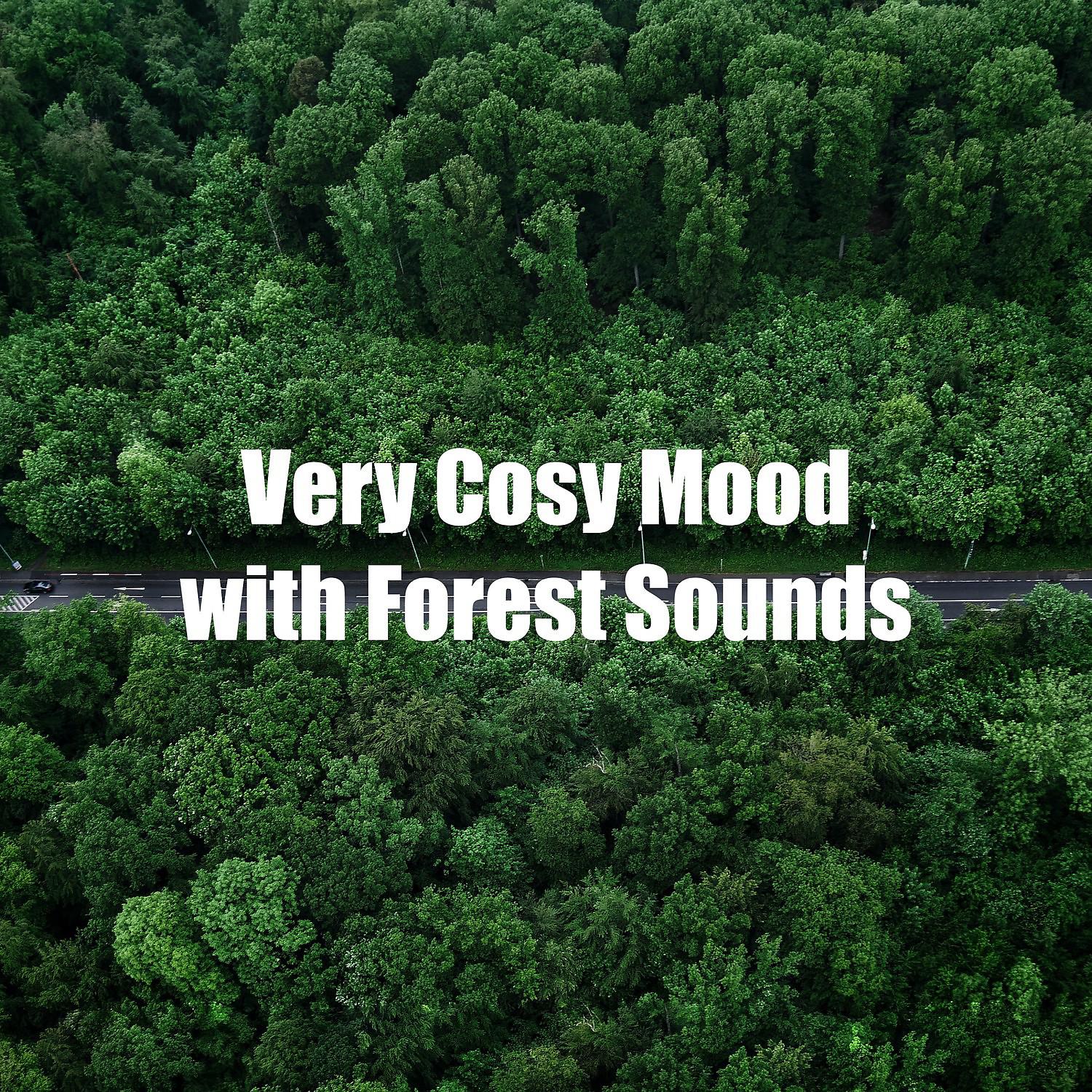 Постер альбома Very Cosy Mood with Forest Sounds