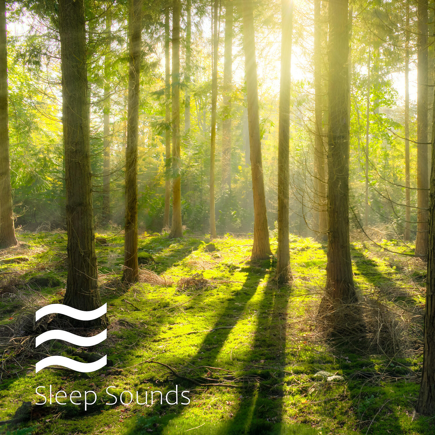 Home Office: Nature Waves - Smooth Soft Sounds for Home Office