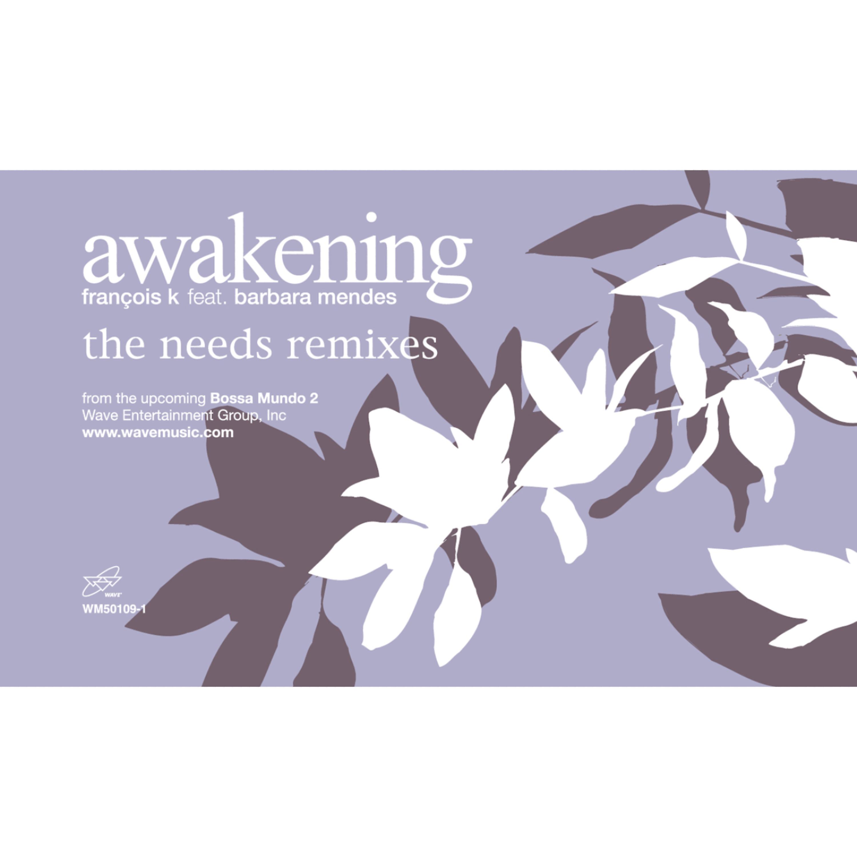 Постер альбома Awakening (feat. Barbara Mendes) [Needs Remixes]