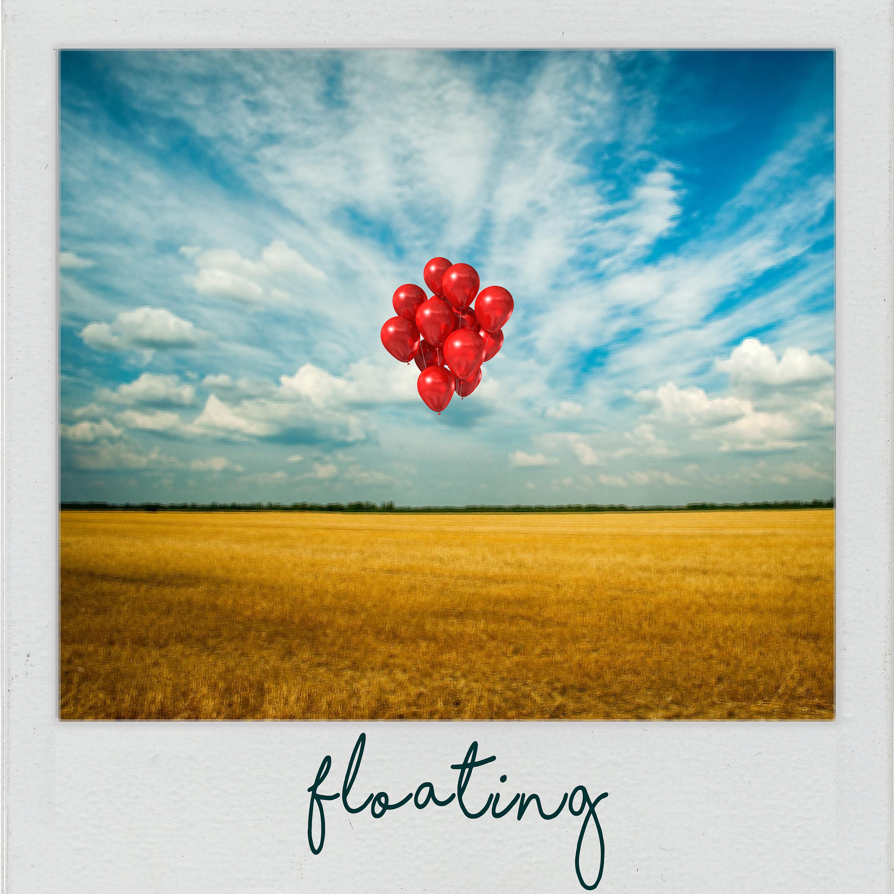 Постер альбома Floating (Radio Edit)