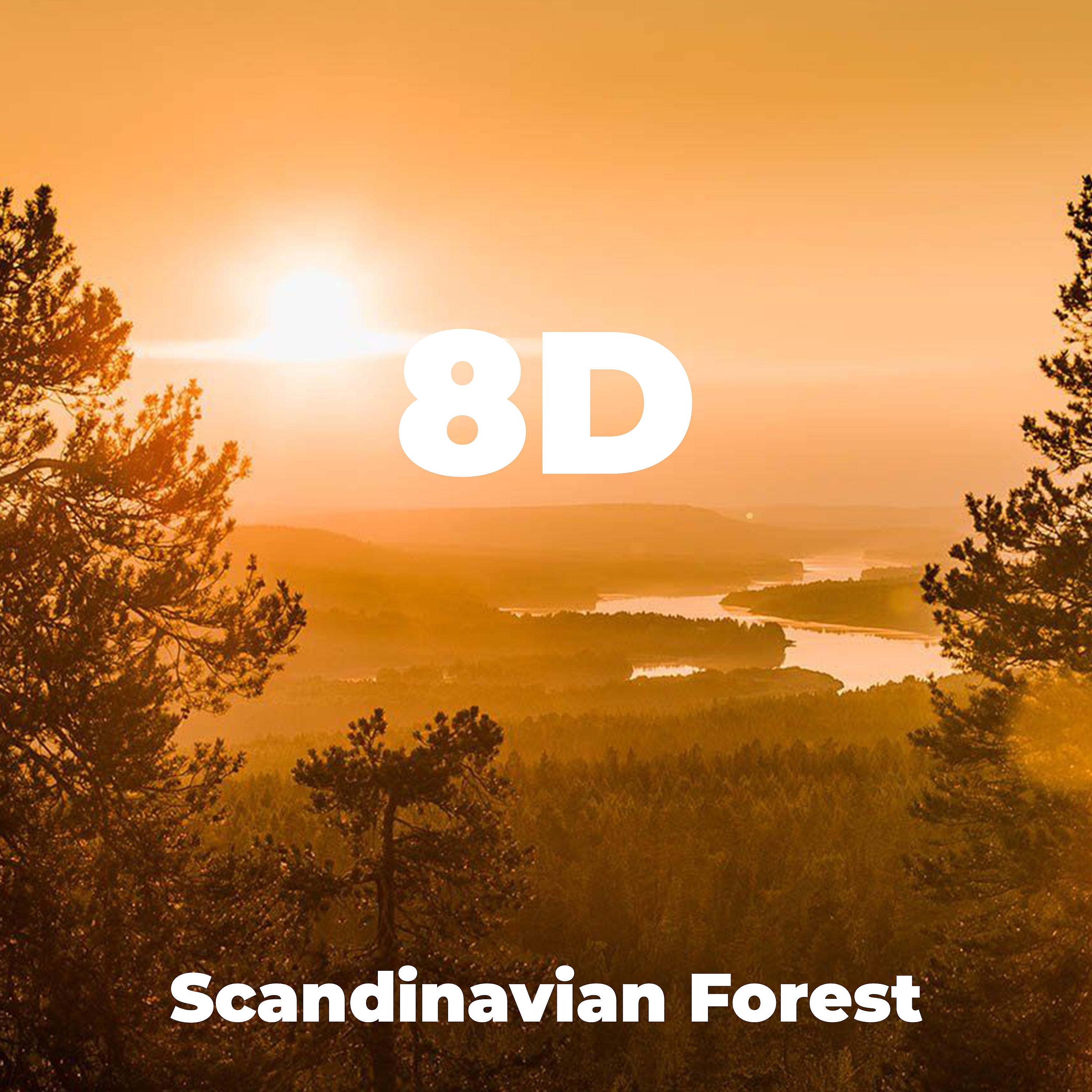 Постер альбома Scandinavian Forest