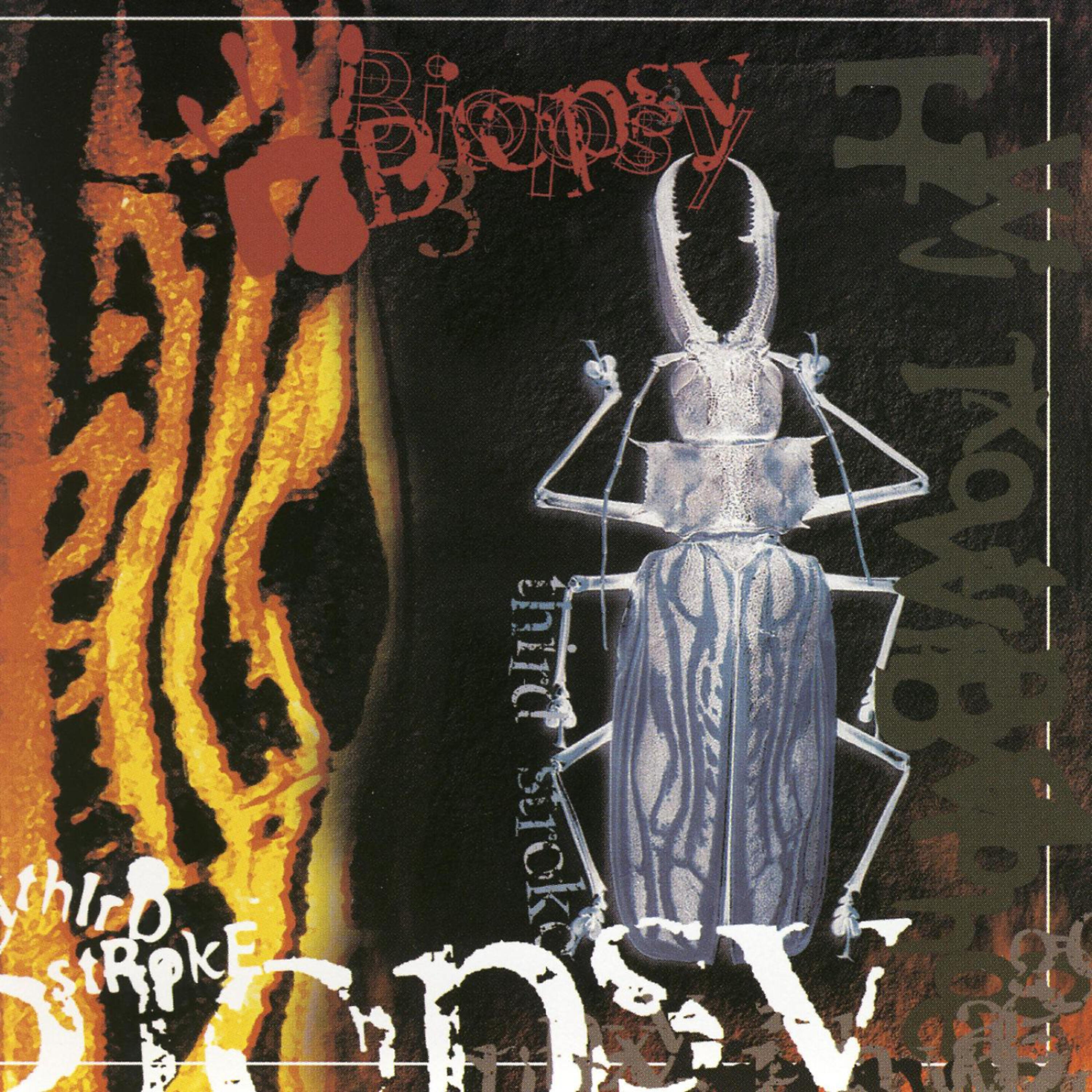Biopsy - Disgust (Negative Format Remix)