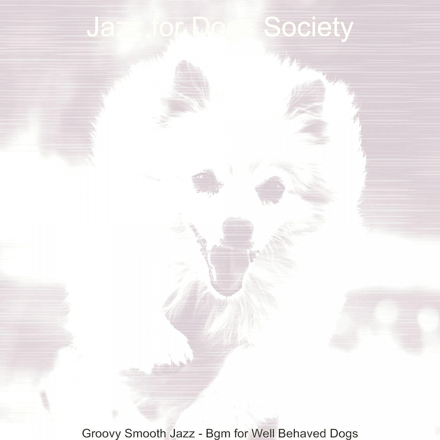 Jazz for Dogs Society - Simplistic Music for Morning Dog Walks