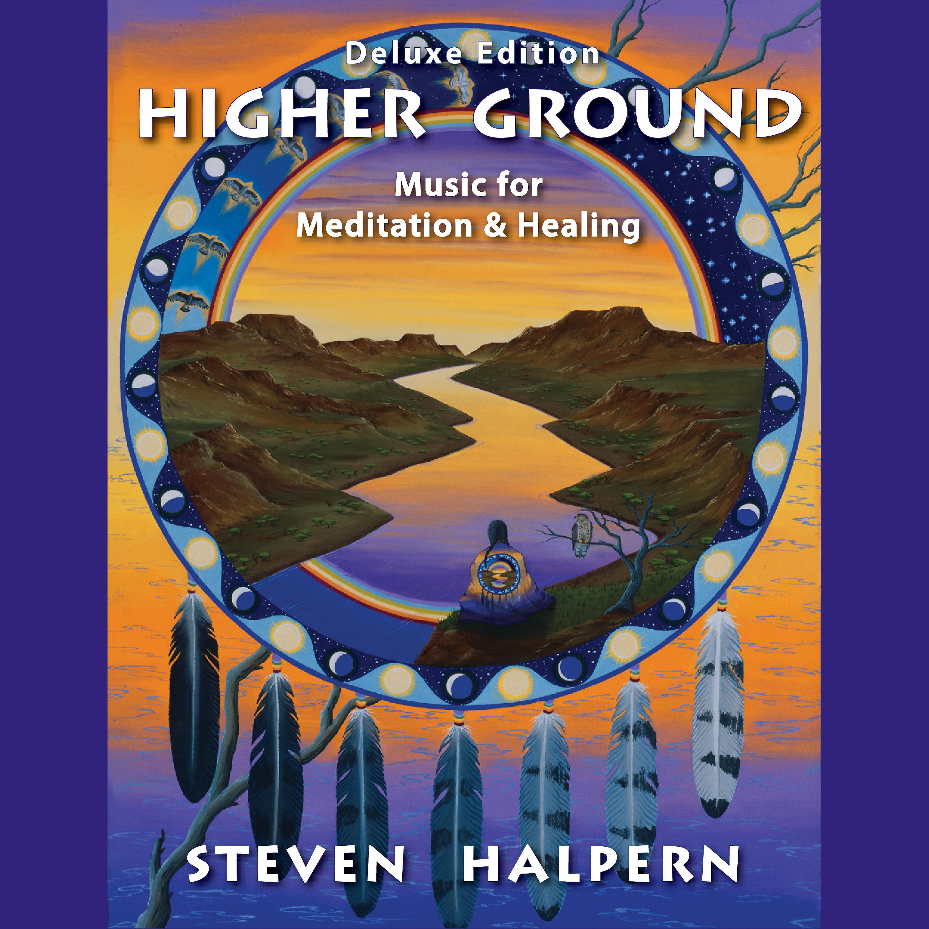 Постер альбома Higher Ground (Deluxe Edition) (Digital)