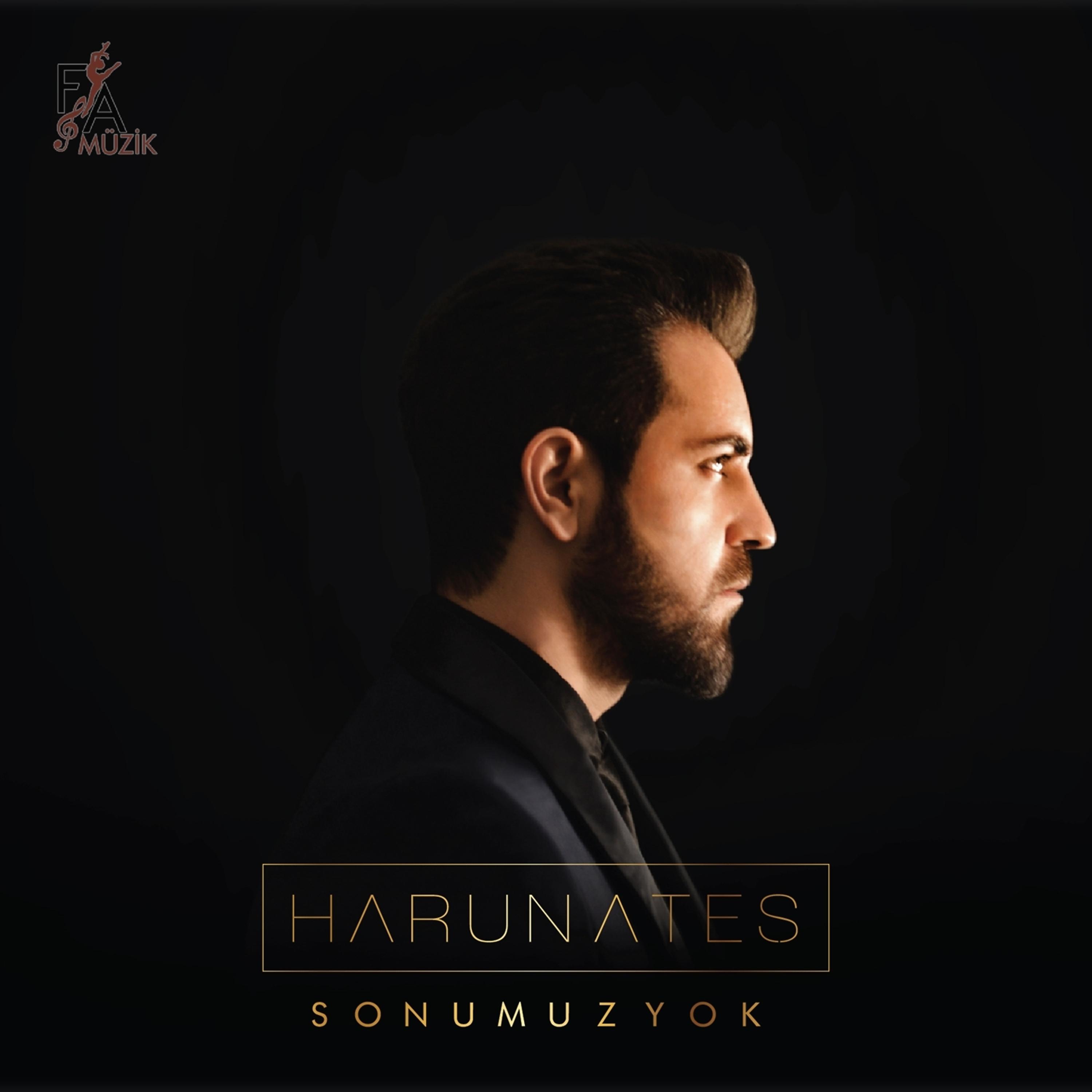 Постер альбома Sonumuz Yok