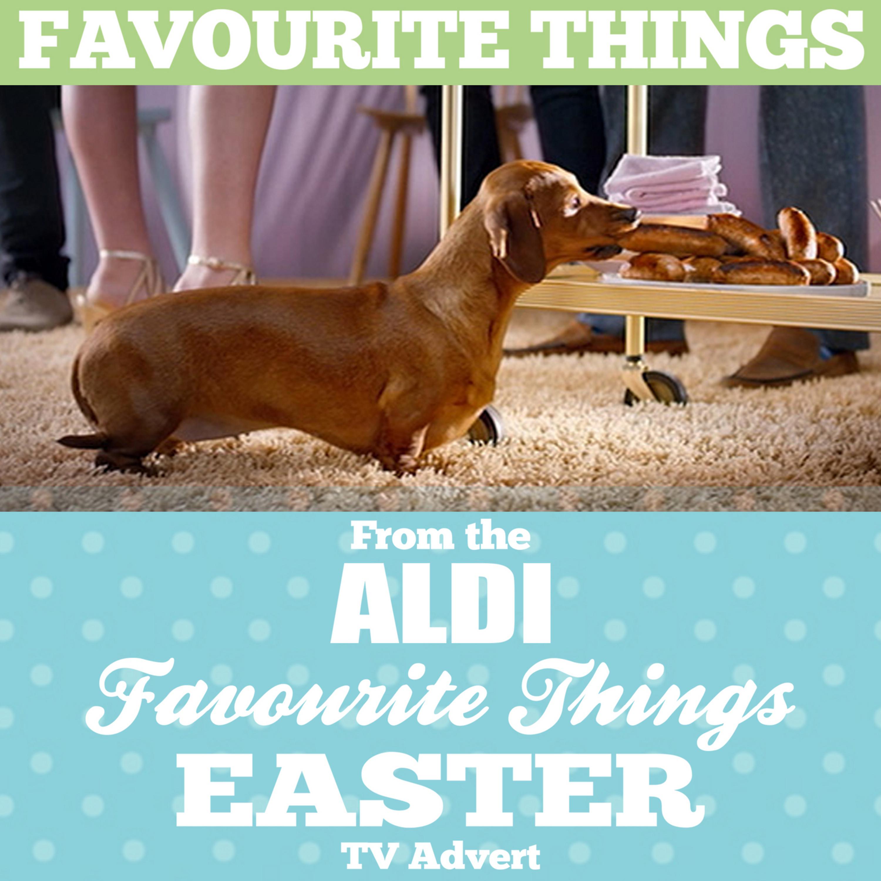 Постер альбома Favourite Things (From The "Aldi - Favourite Things Easter" T.V. Advert)