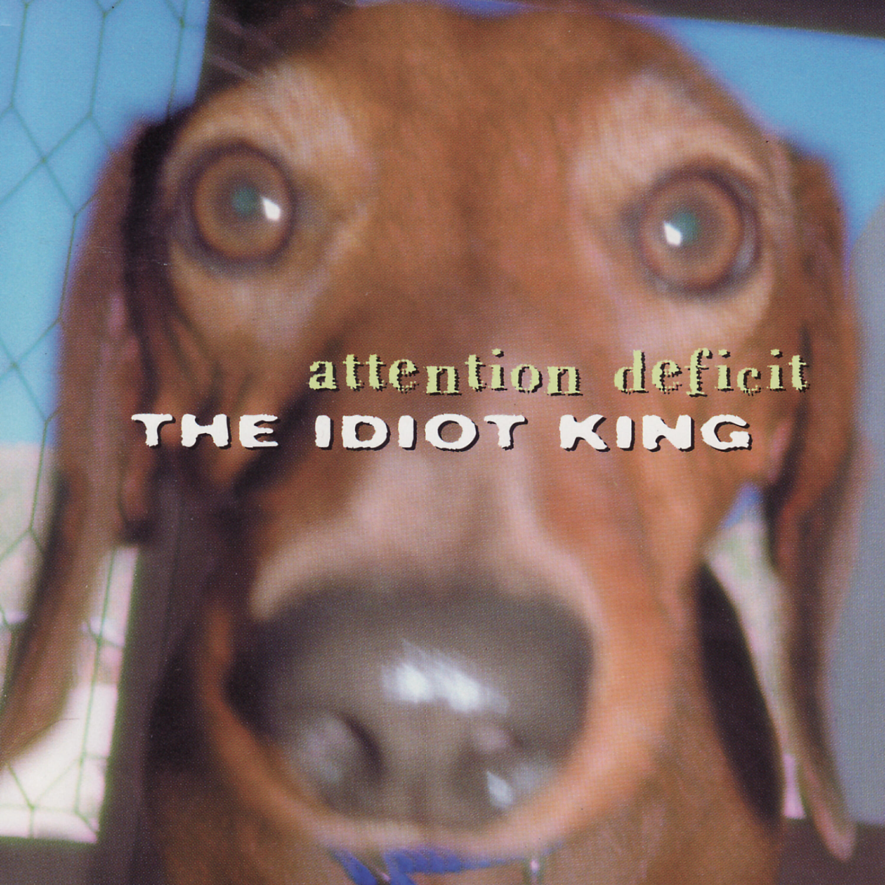 Something attention. Wale attention deficit. The Idiot. Wale attention deficit Decoded.