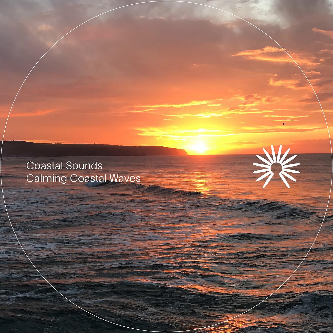 Постер альбома Calming Coastal Waves