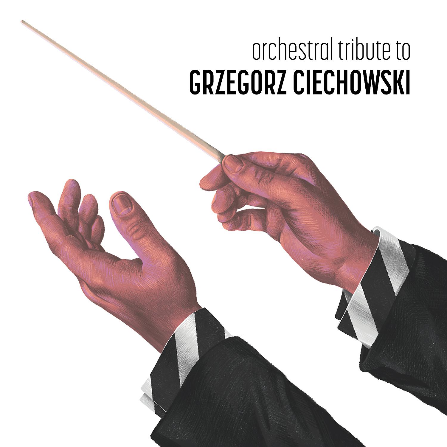 Постер альбома Orchestral tribute to Grzegorz Ciechowski