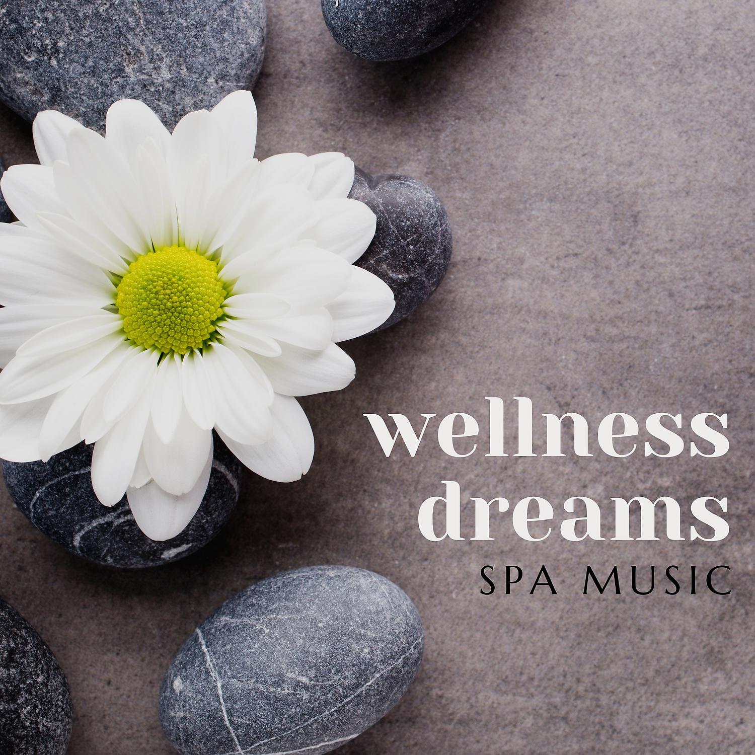 Постер альбома Wellness Calm Dreams – Relaxing Spa Background Music for Wellness Treatment, Body Care and Massage, Beauty Therapy, Aromatherapy