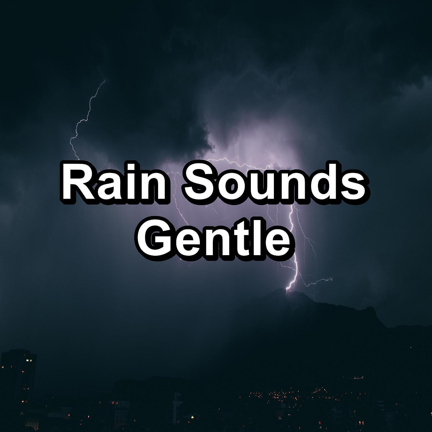 Постер альбома Rain Sounds Gentle