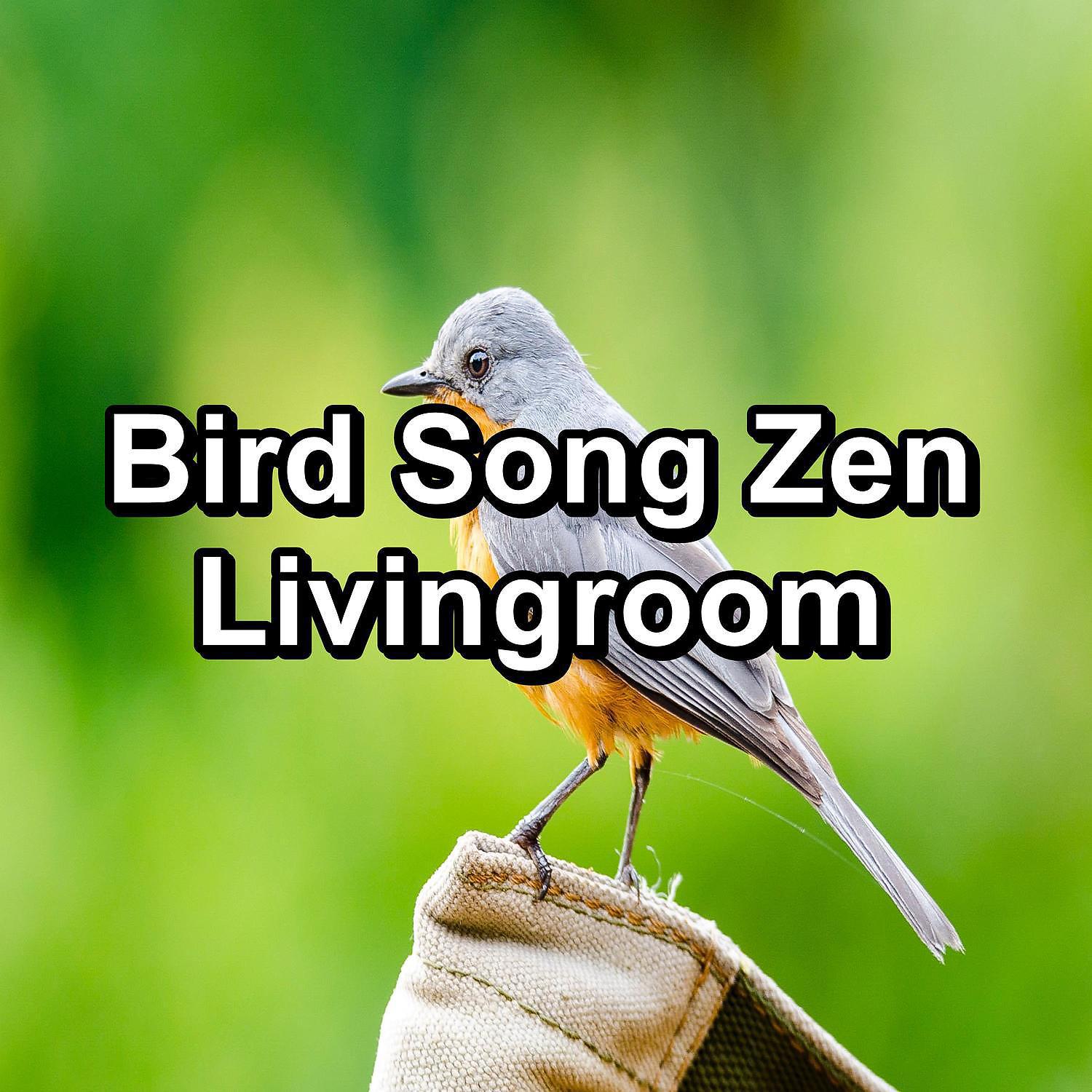 Постер альбома Bird Song Zen Livingroom
