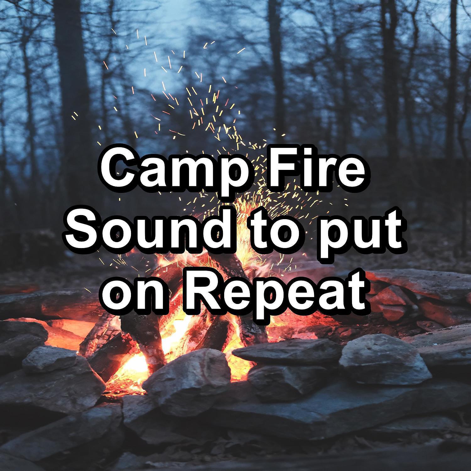Постер альбома Camp Fire Sound to put on Repeat