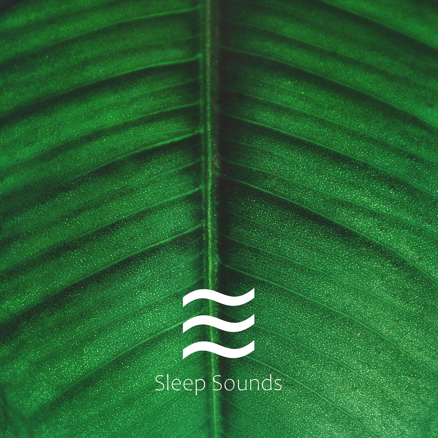 Easeful Easy White Noises Sounds for Relax Babies - Easeful White Shushing Noise for Sleep