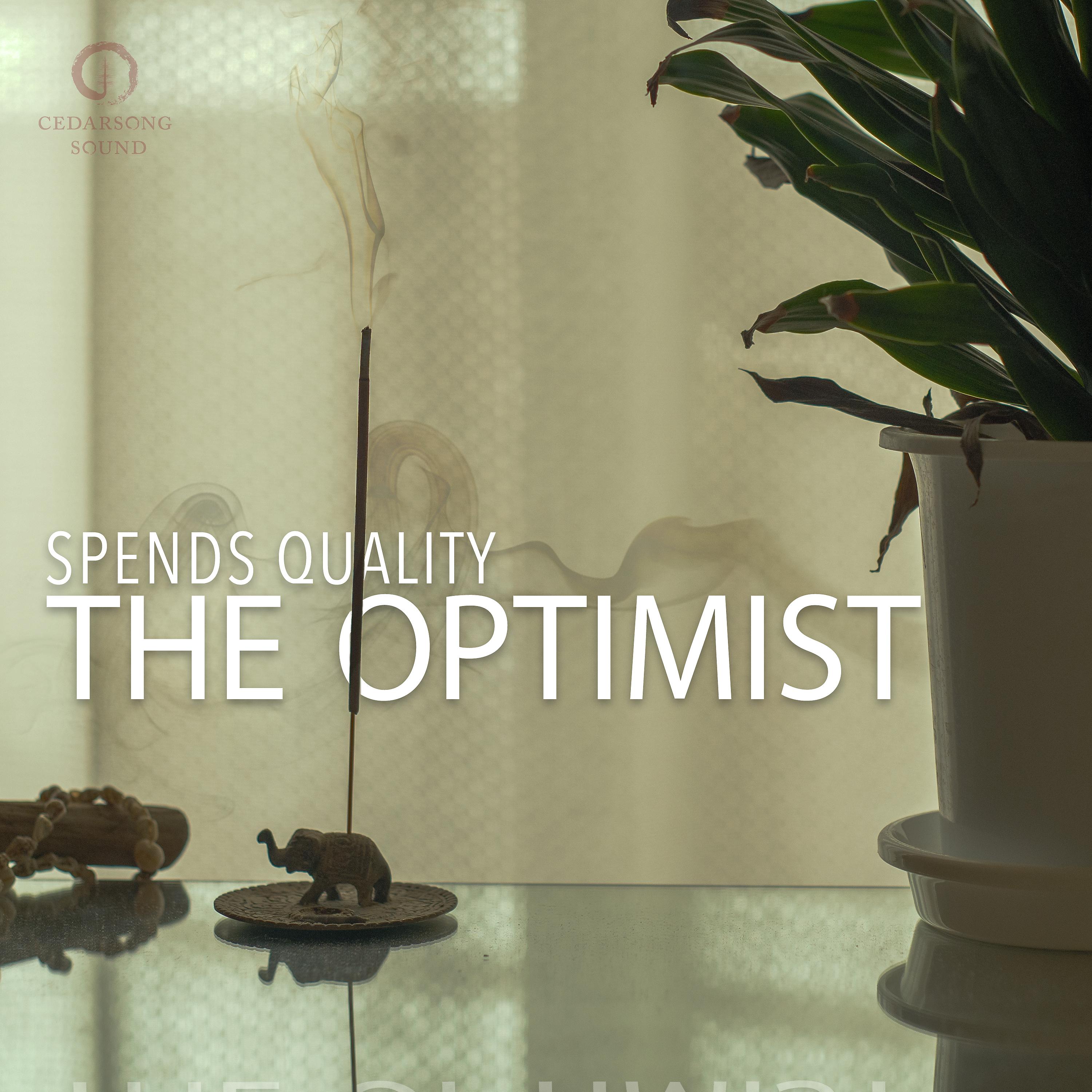 Постер альбома The Optimist