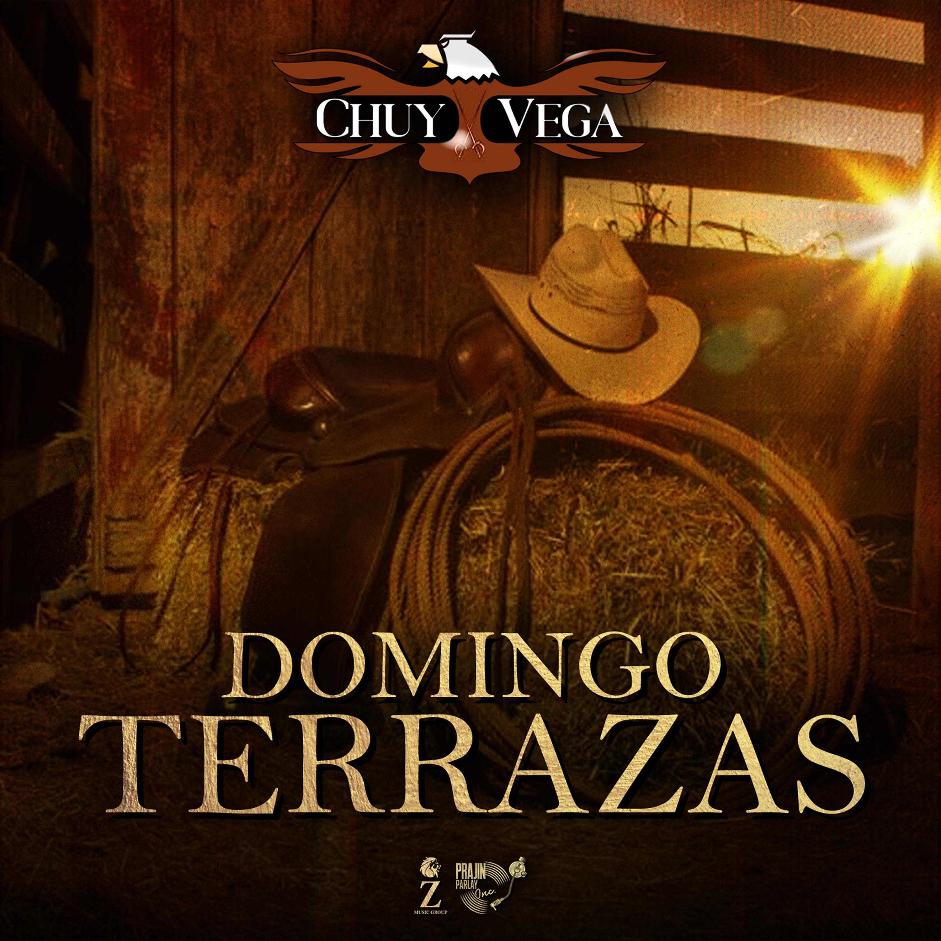 Постер альбома Domingo Terrazas