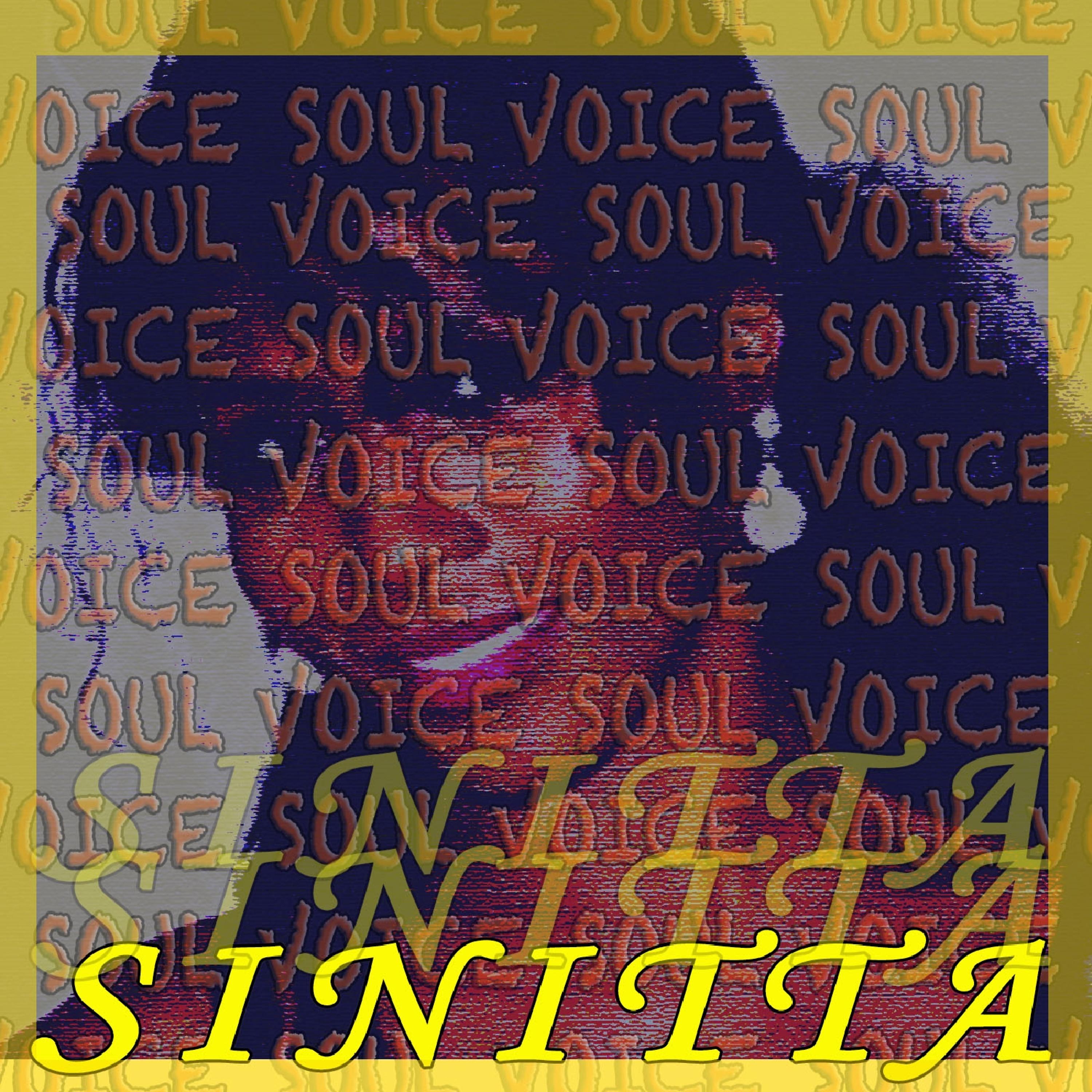 Постер альбома Soul Voice