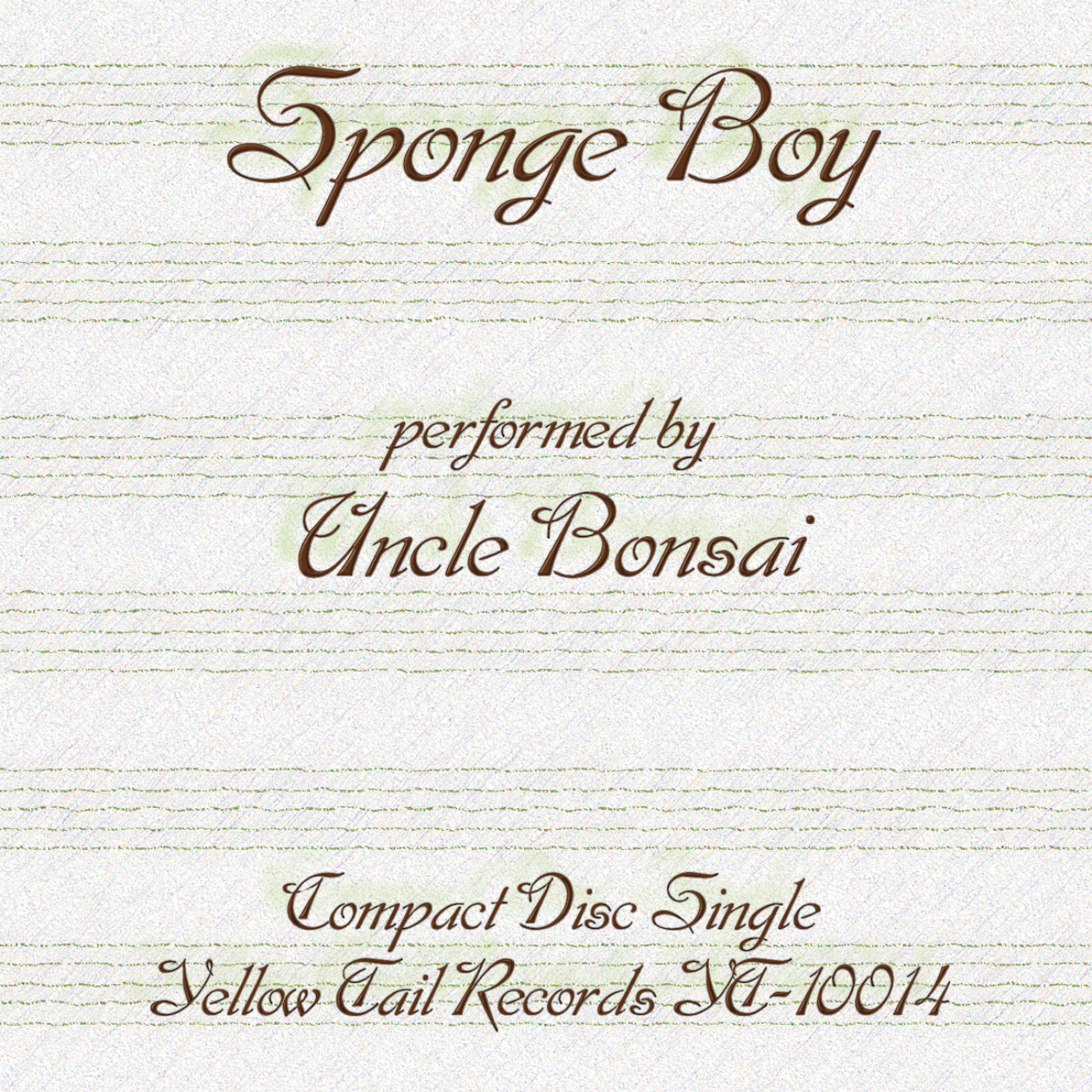 Постер альбома Sponge Boy