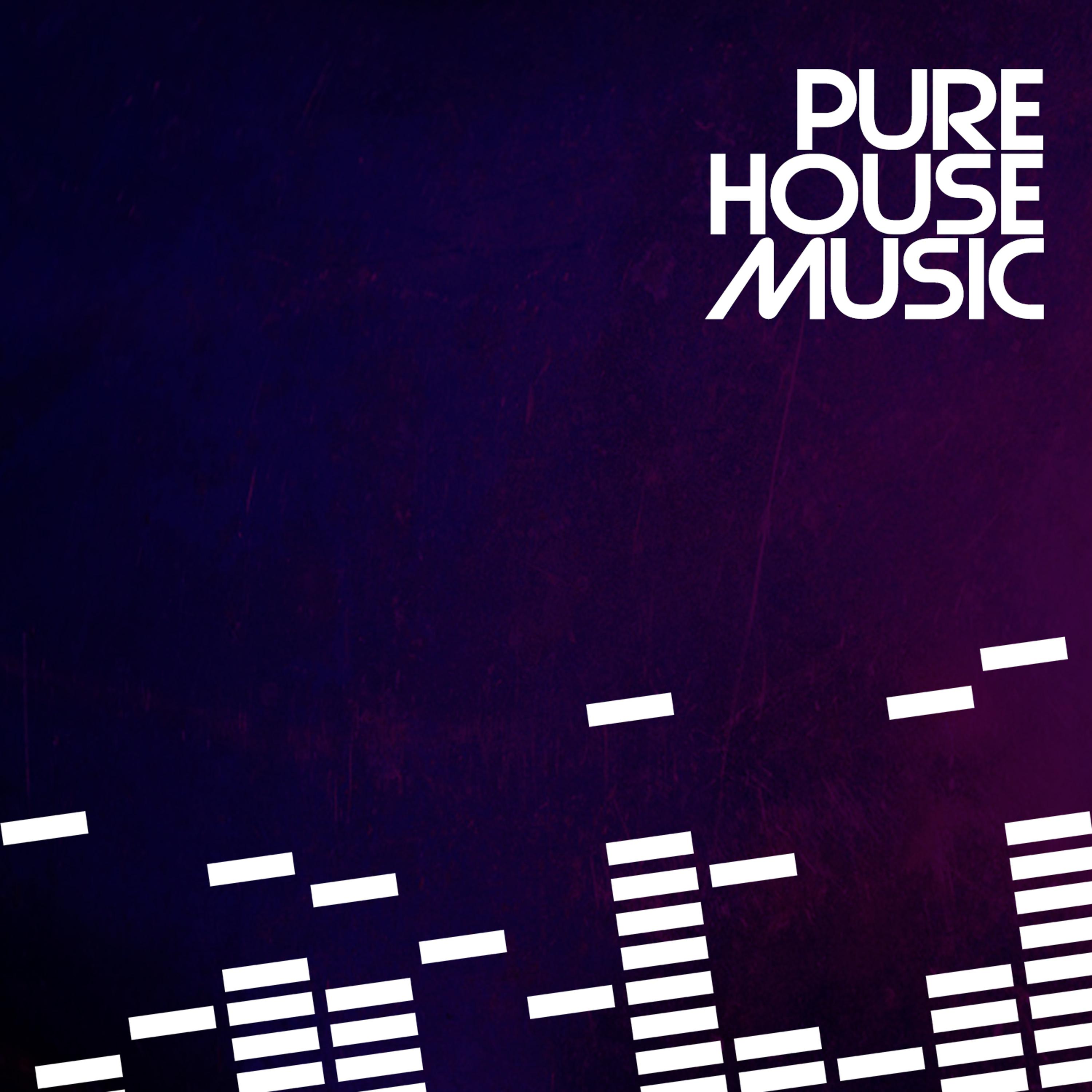 Постер альбома Pure House Music