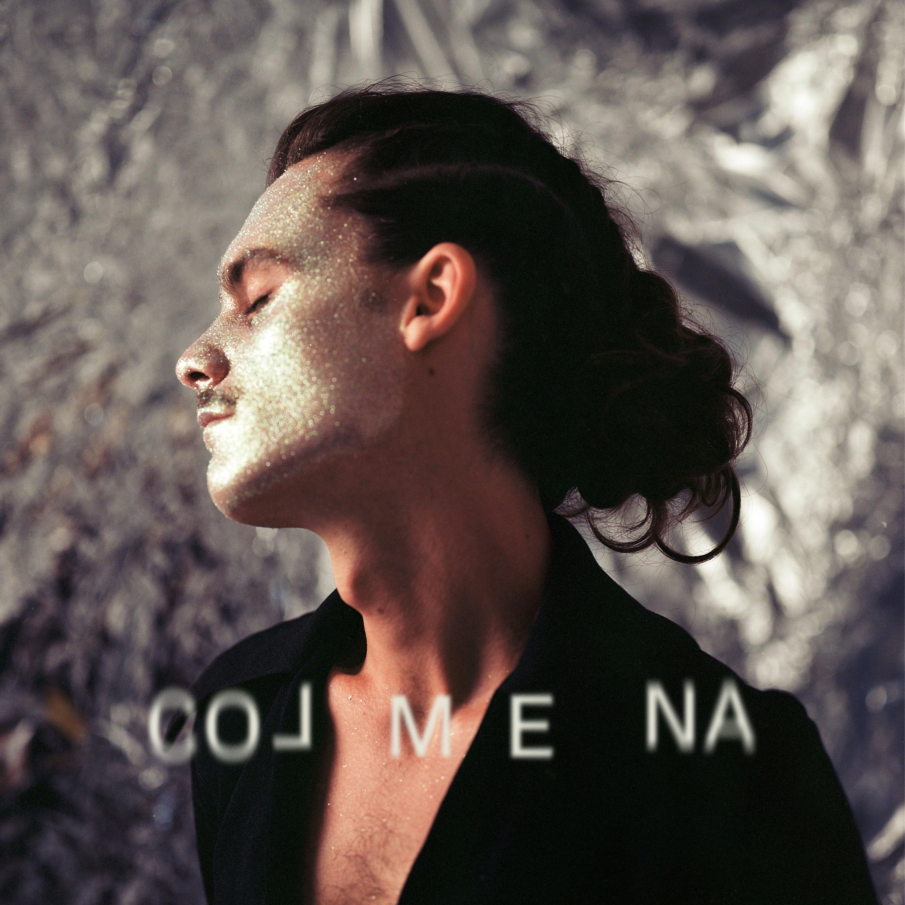 Постер альбома Colmena