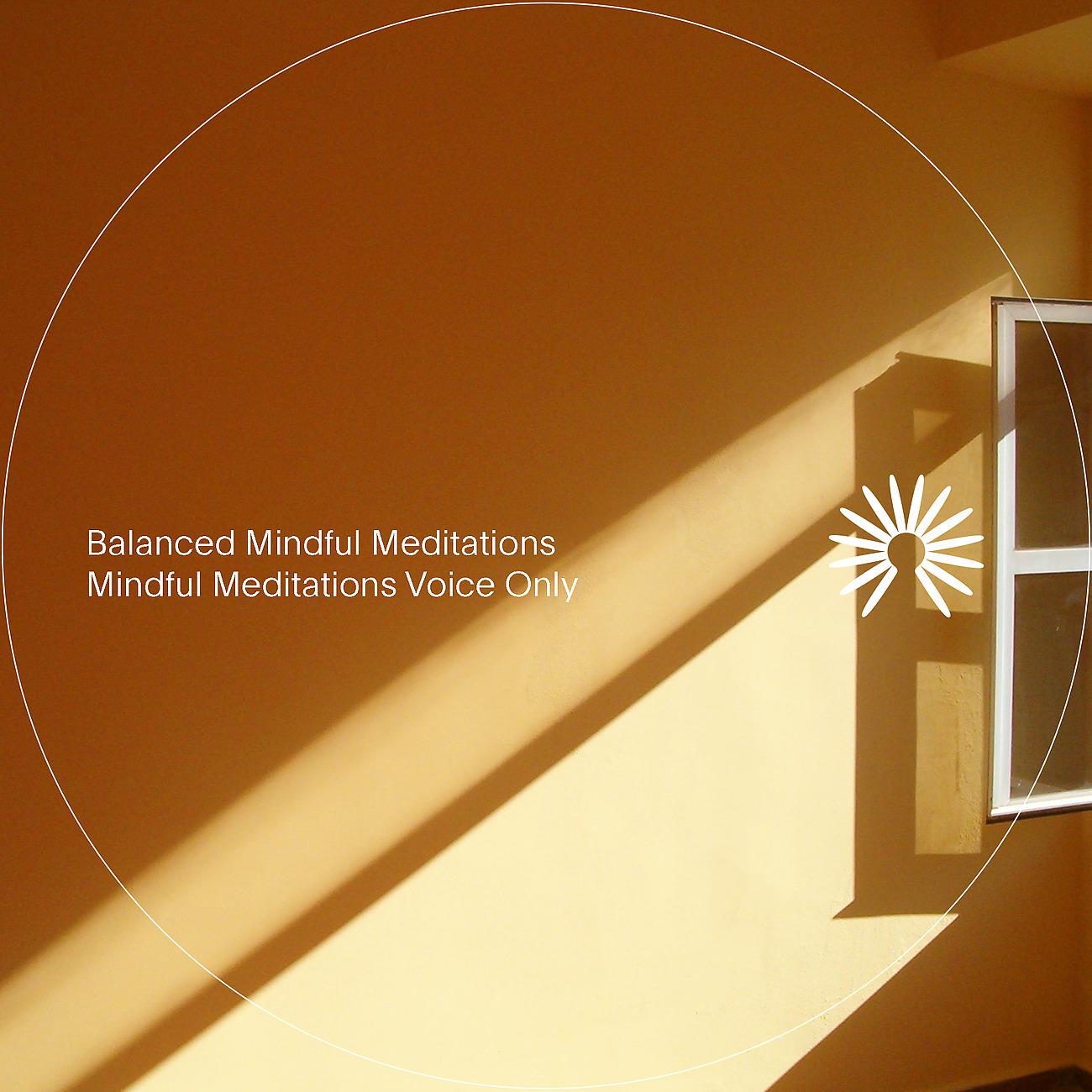Постер альбома Mindful Meditations Voice Only
