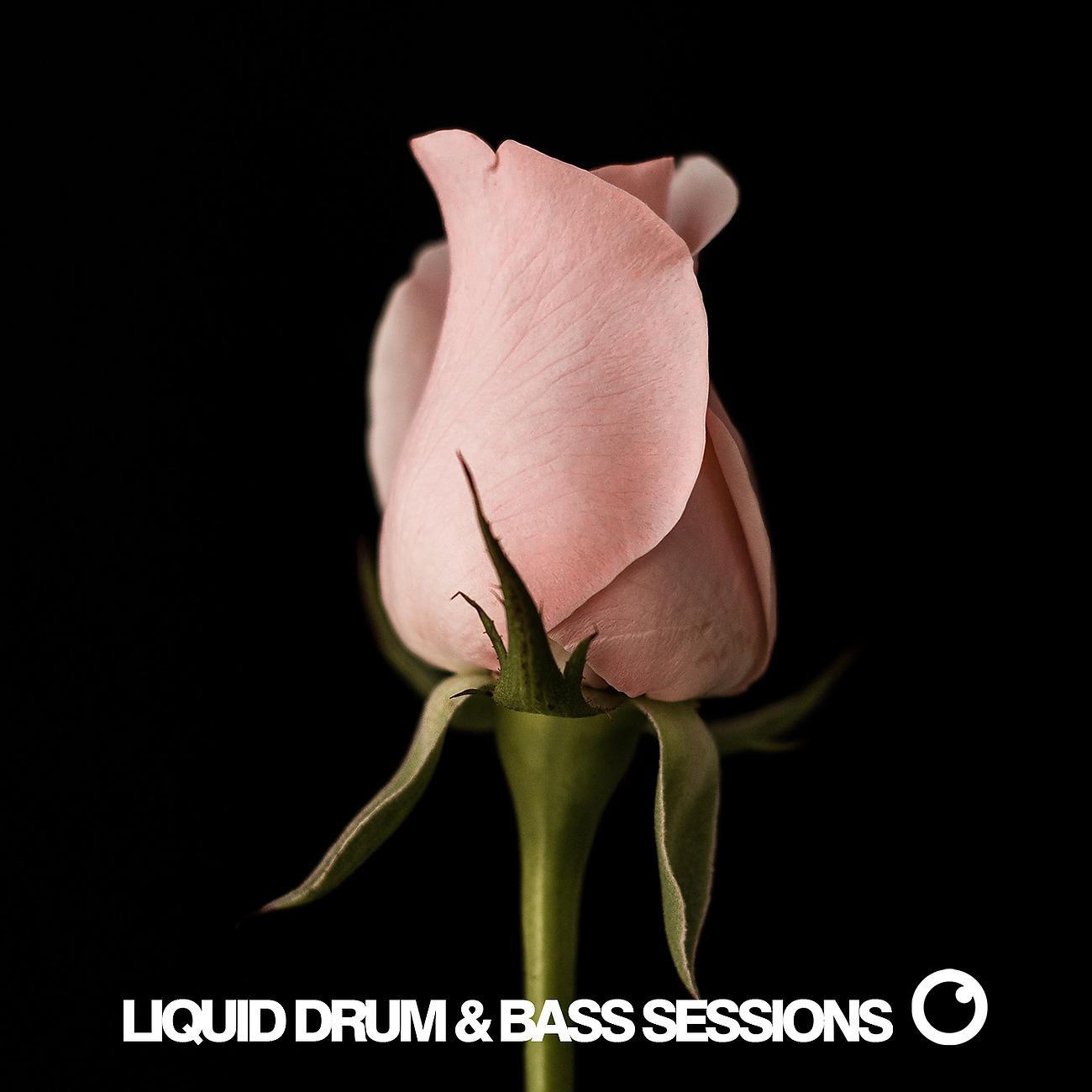 Постер альбома Liquid Drum & Bass Sessions Vol 12