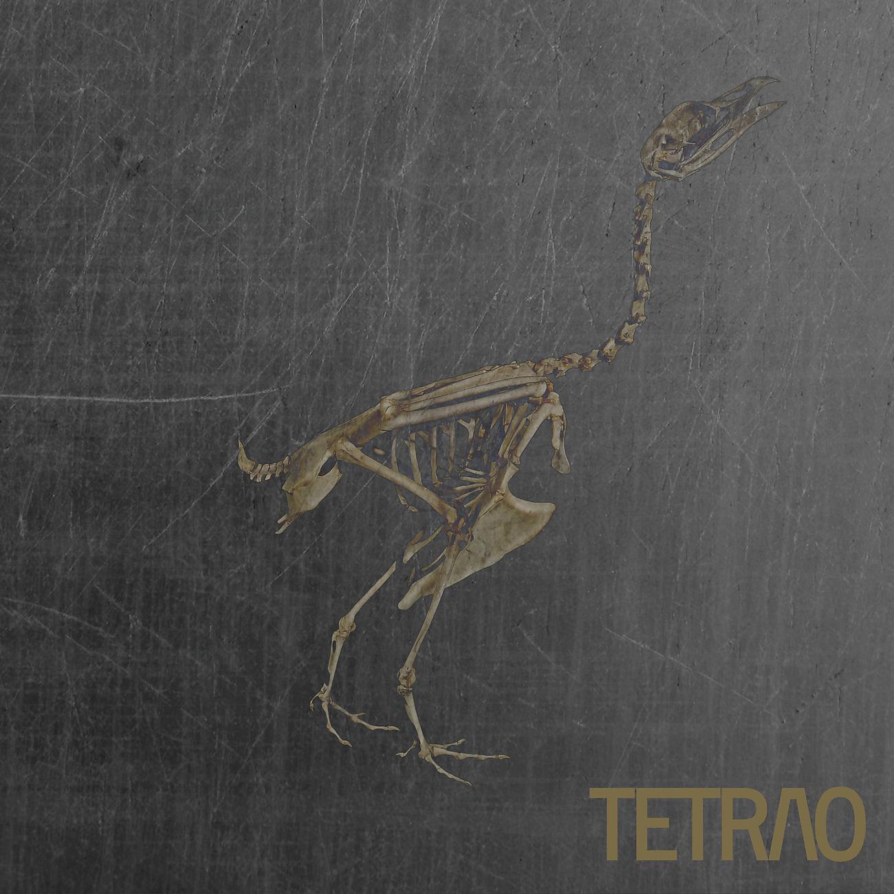 Постер альбома TETRAO V /  Volumen II