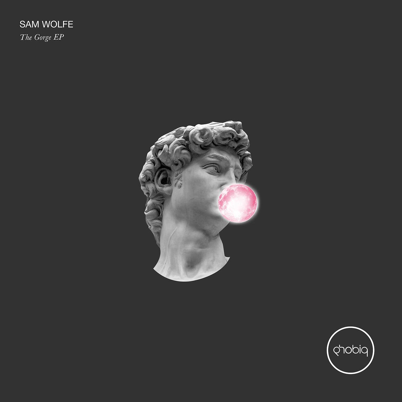 SAM WOLFE - The Gorge (Sisko Electrofanatik Remix)