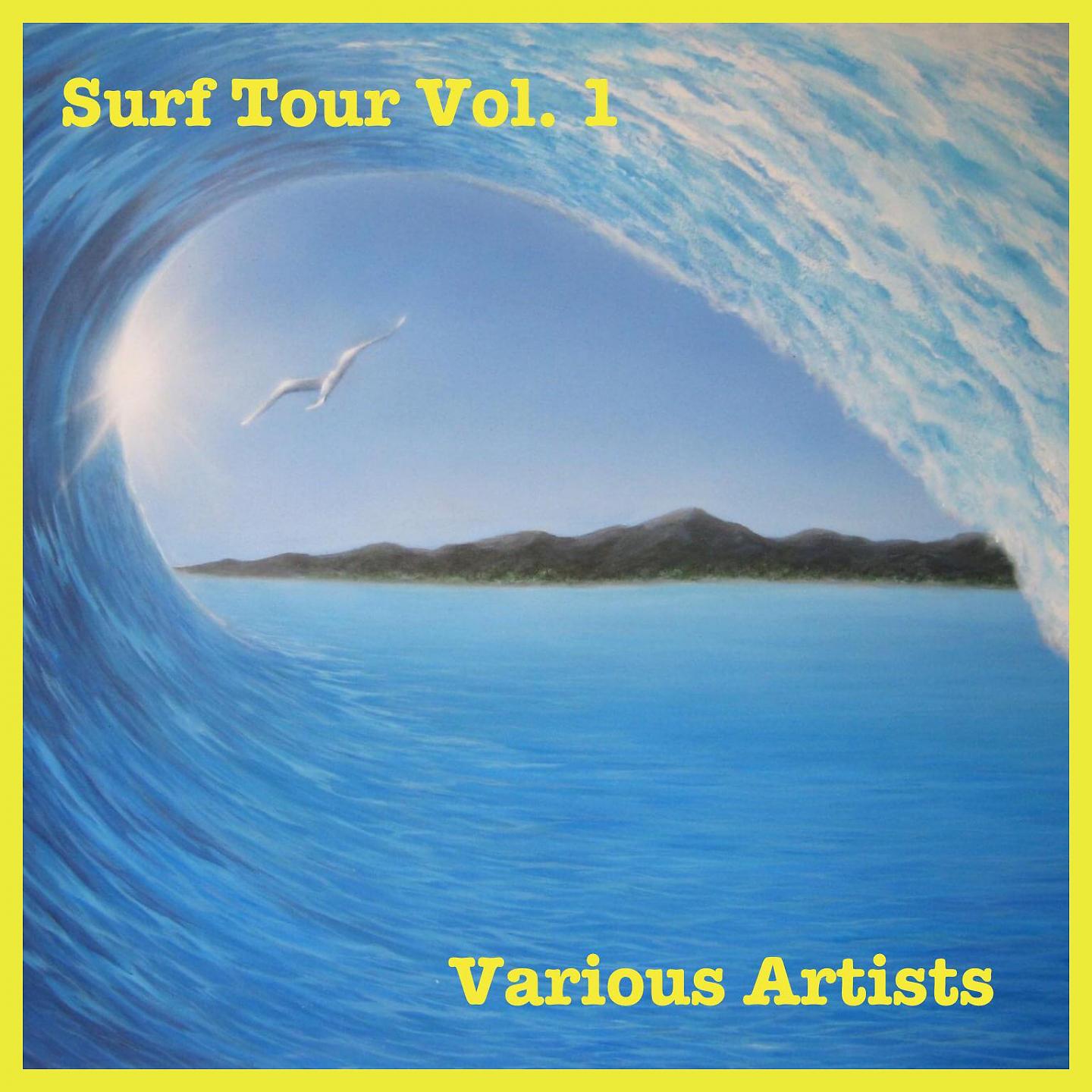 Постер альбома Surf Tour Vol. 1
