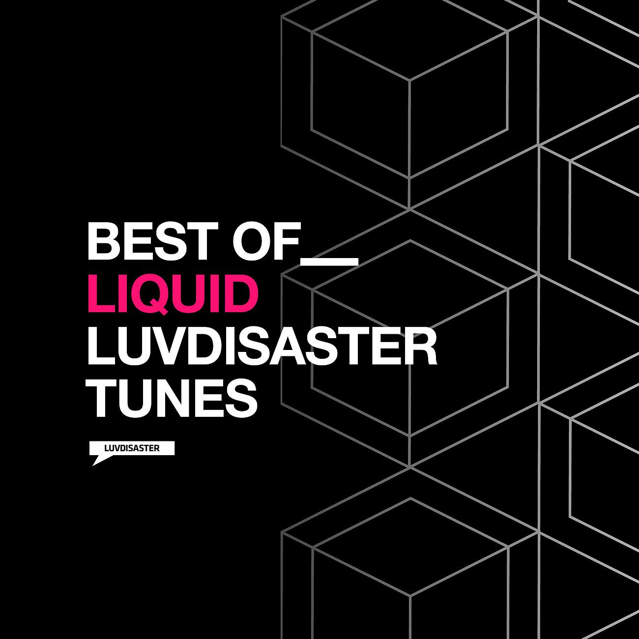 Постер альбома Best of Liquid LuvDisaster Tunes