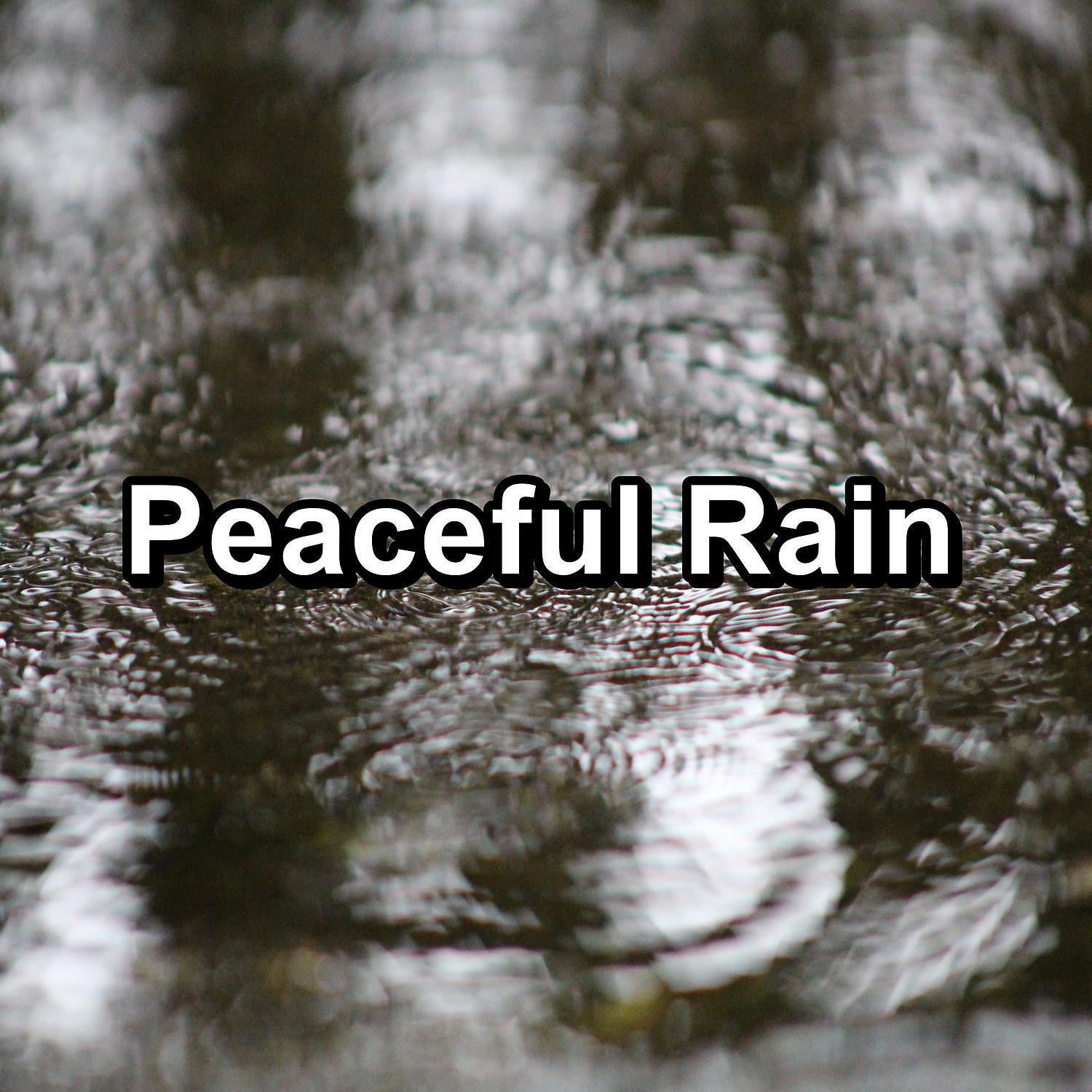 Постер альбома Peaceful Rain