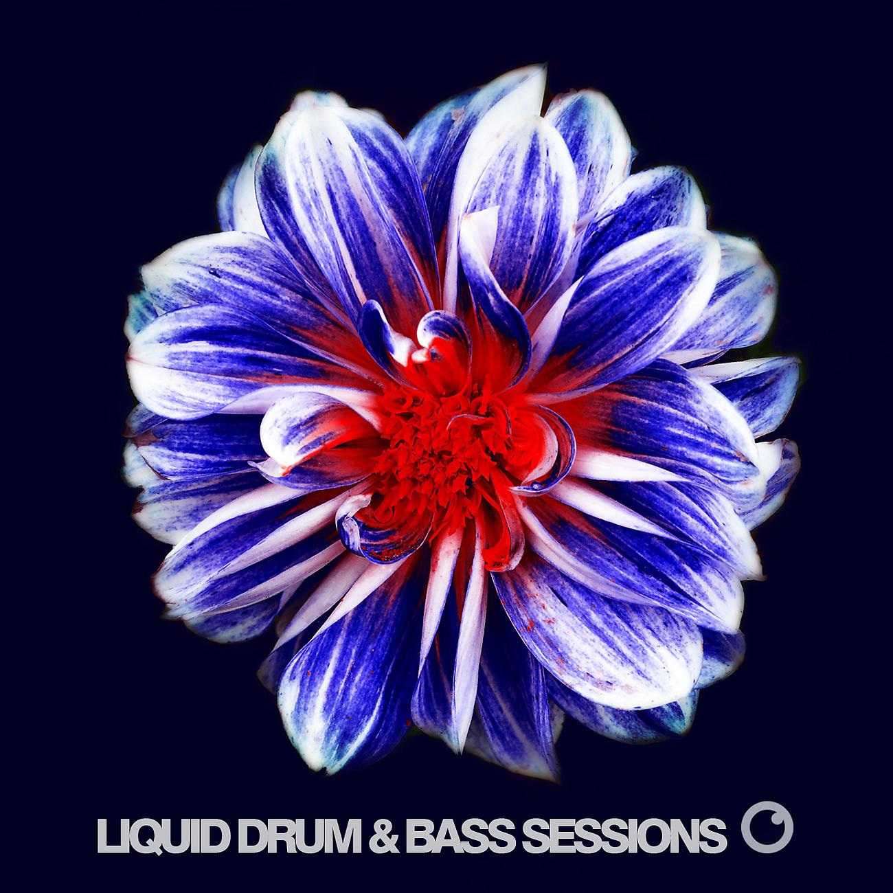 Постер альбома Liquid Drum & Bass Sessions 2019 Vol 6