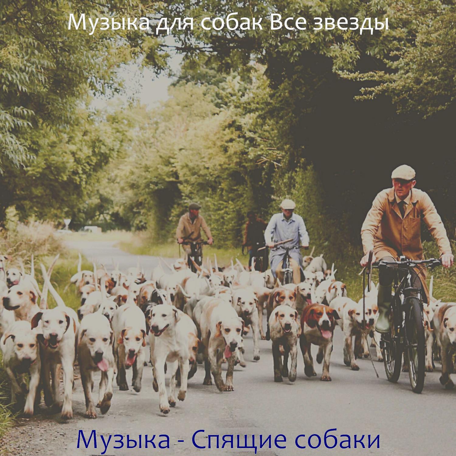 Музыка для собак Все звезды - Звуки (Милые Собаки)