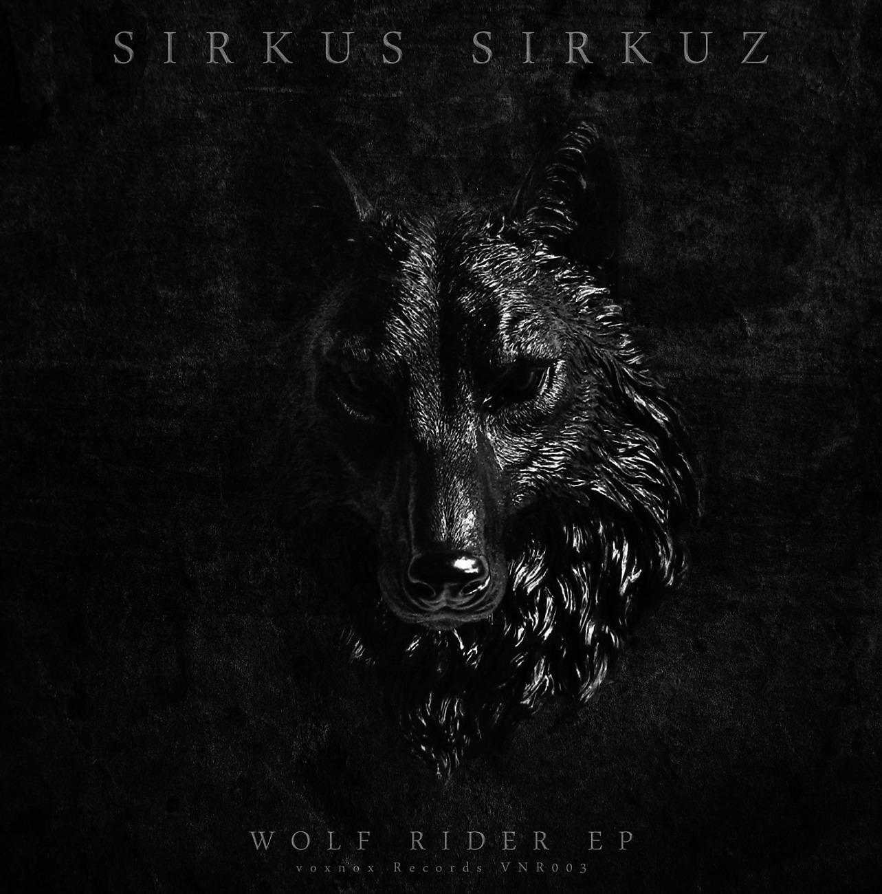Постер альбома Wolf Rider