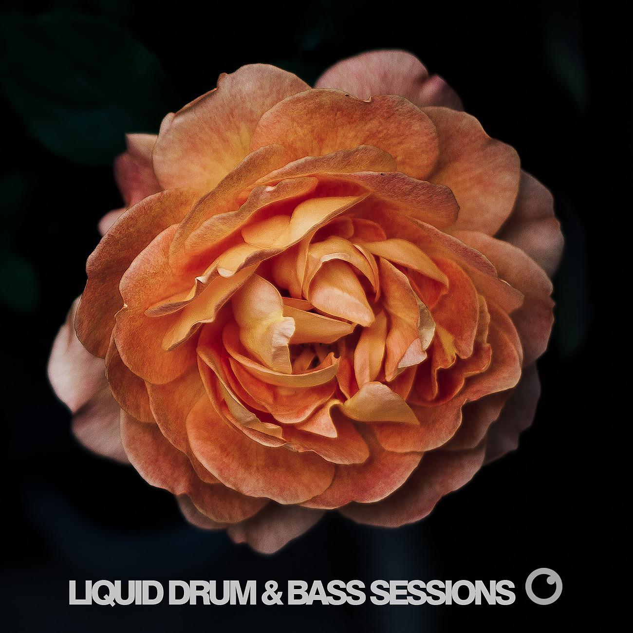 Постер альбома Liquid Drum & Bass Sessions 2019 Vol 4