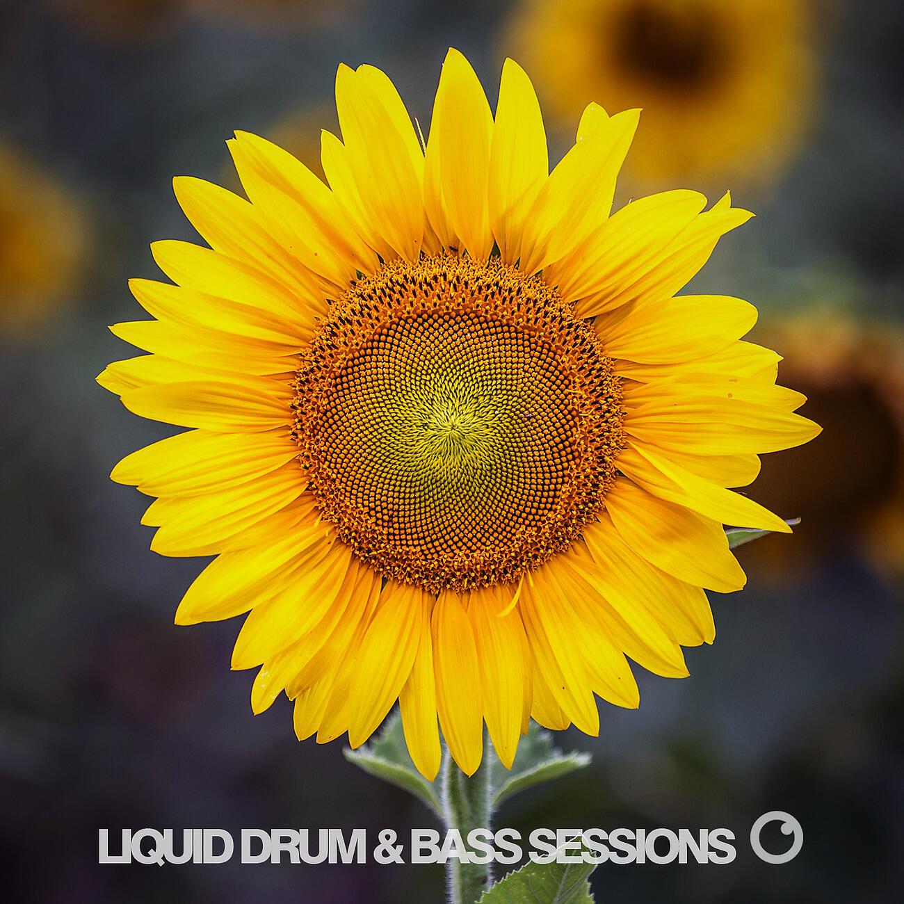 Calculon - Ben Carlos (Lenzman Remix)