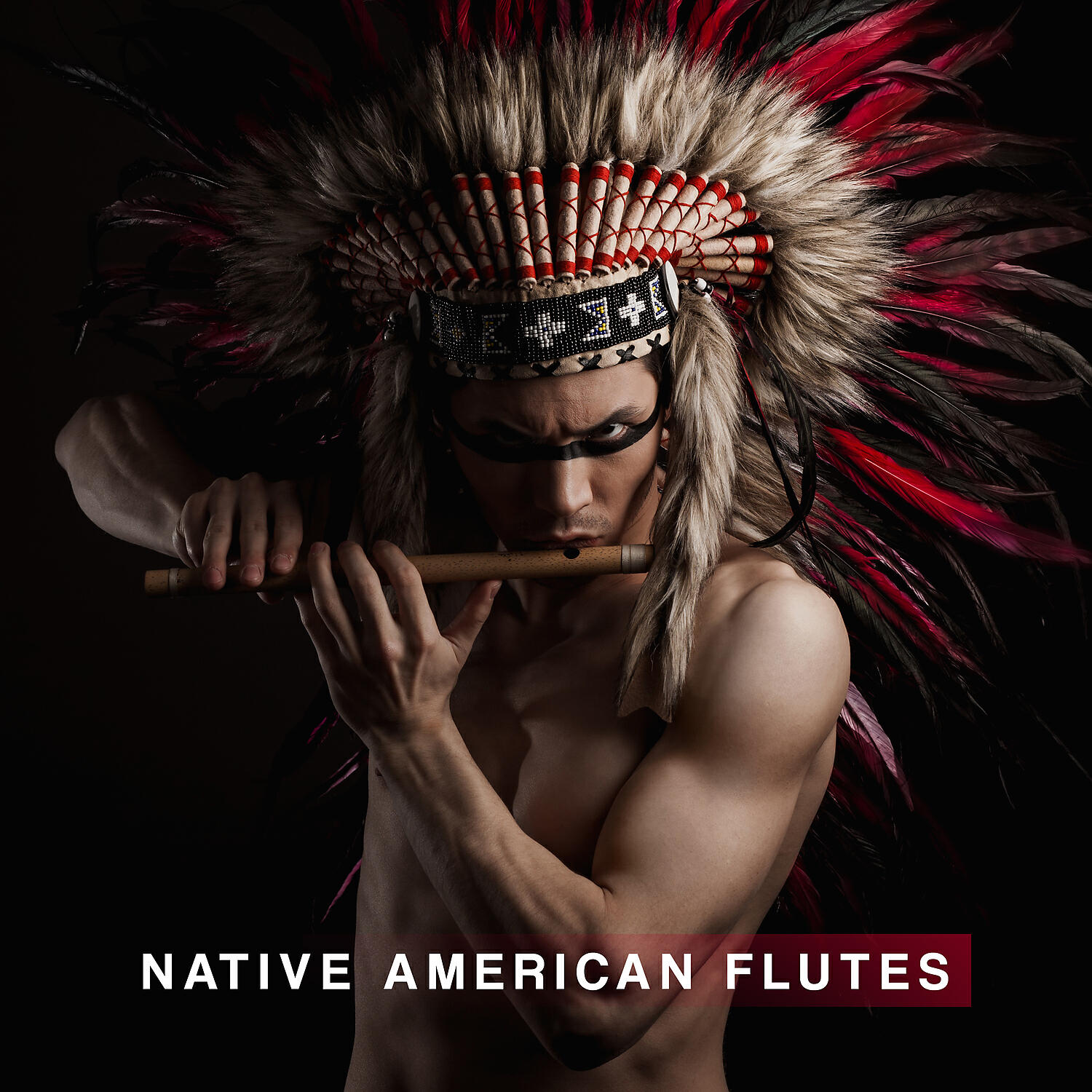 Native American Music Consort - Deepening Insights