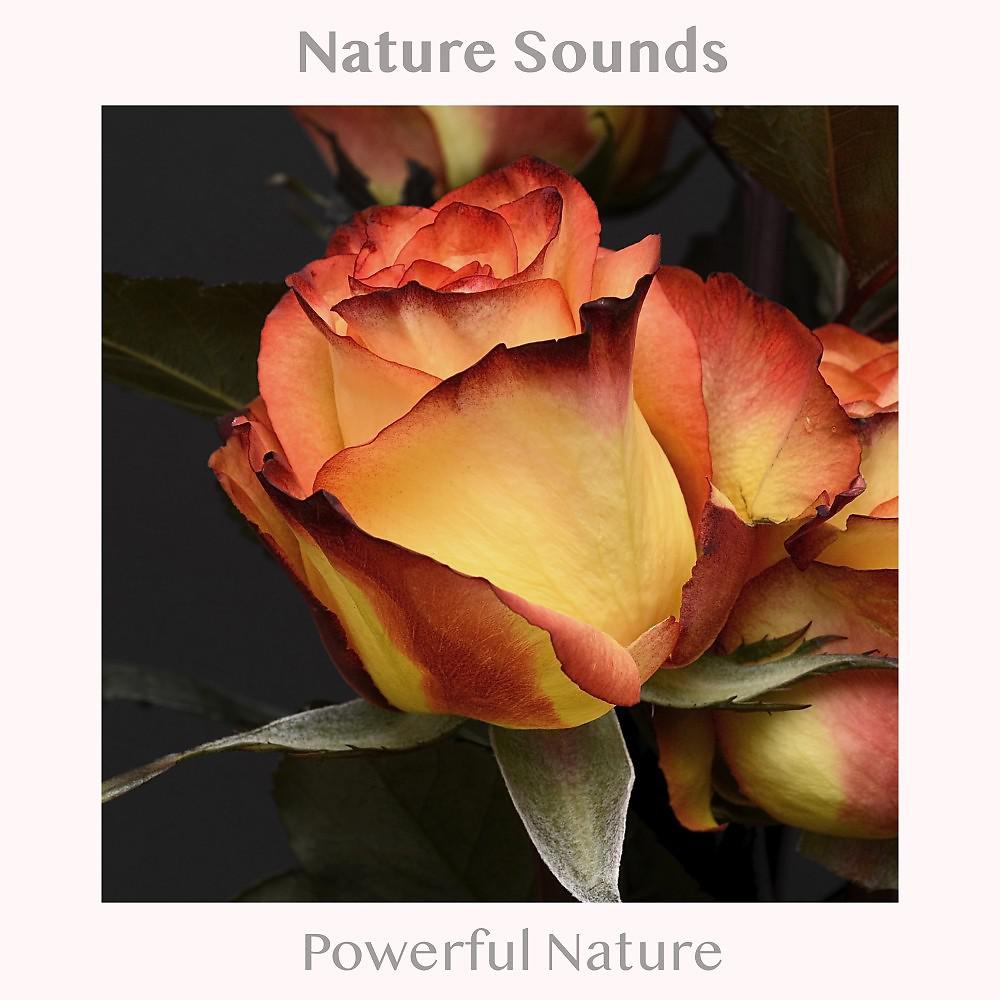 Постер альбома Powerful Nature