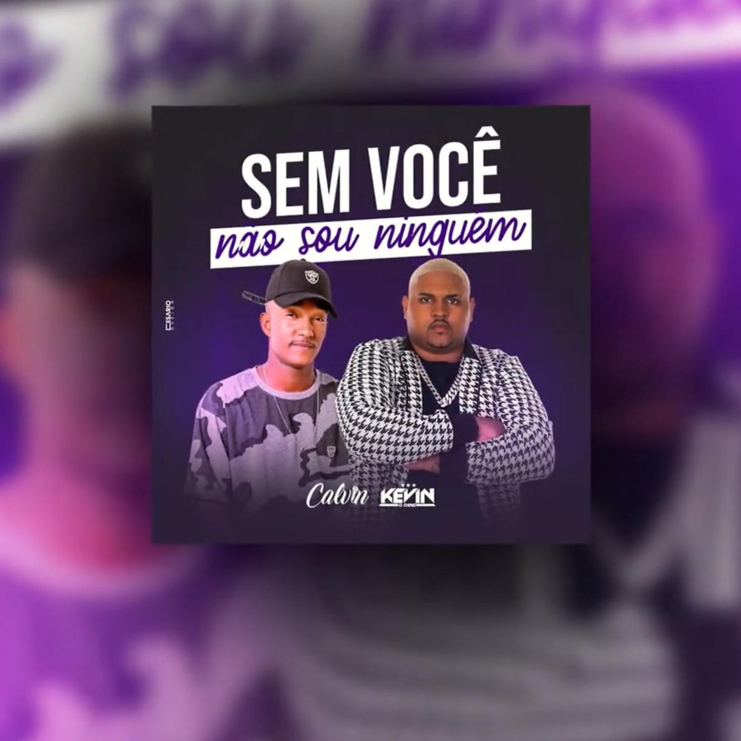Постер альбома Sem Você Não Sou Ninguém