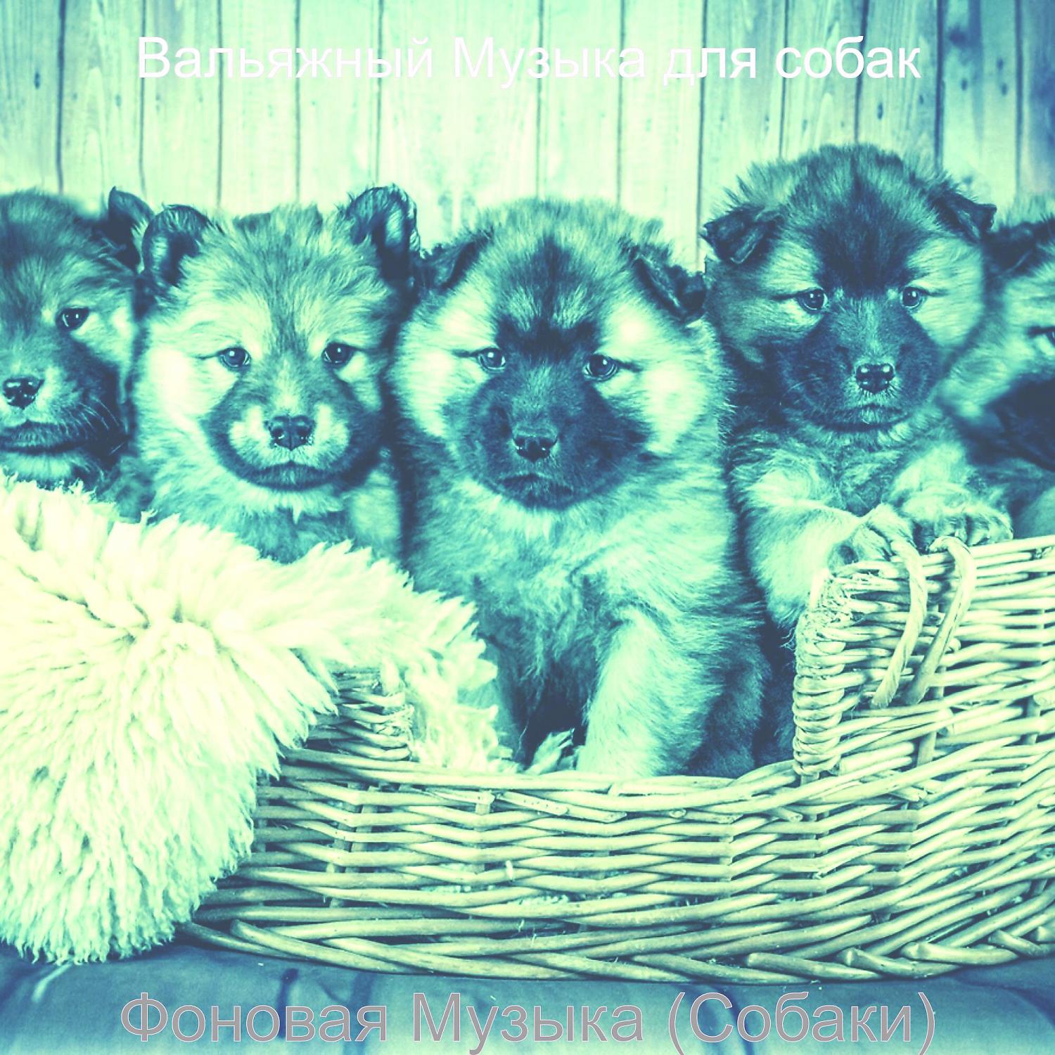 Постер альбома Фоновая Музыка (Собаки)
