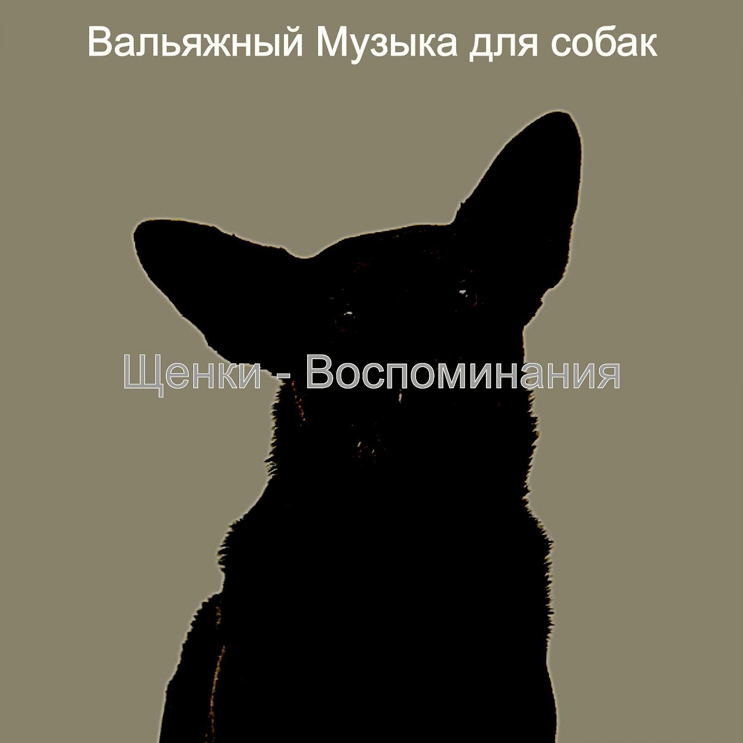 Постер альбома Щенки - Воспоминания