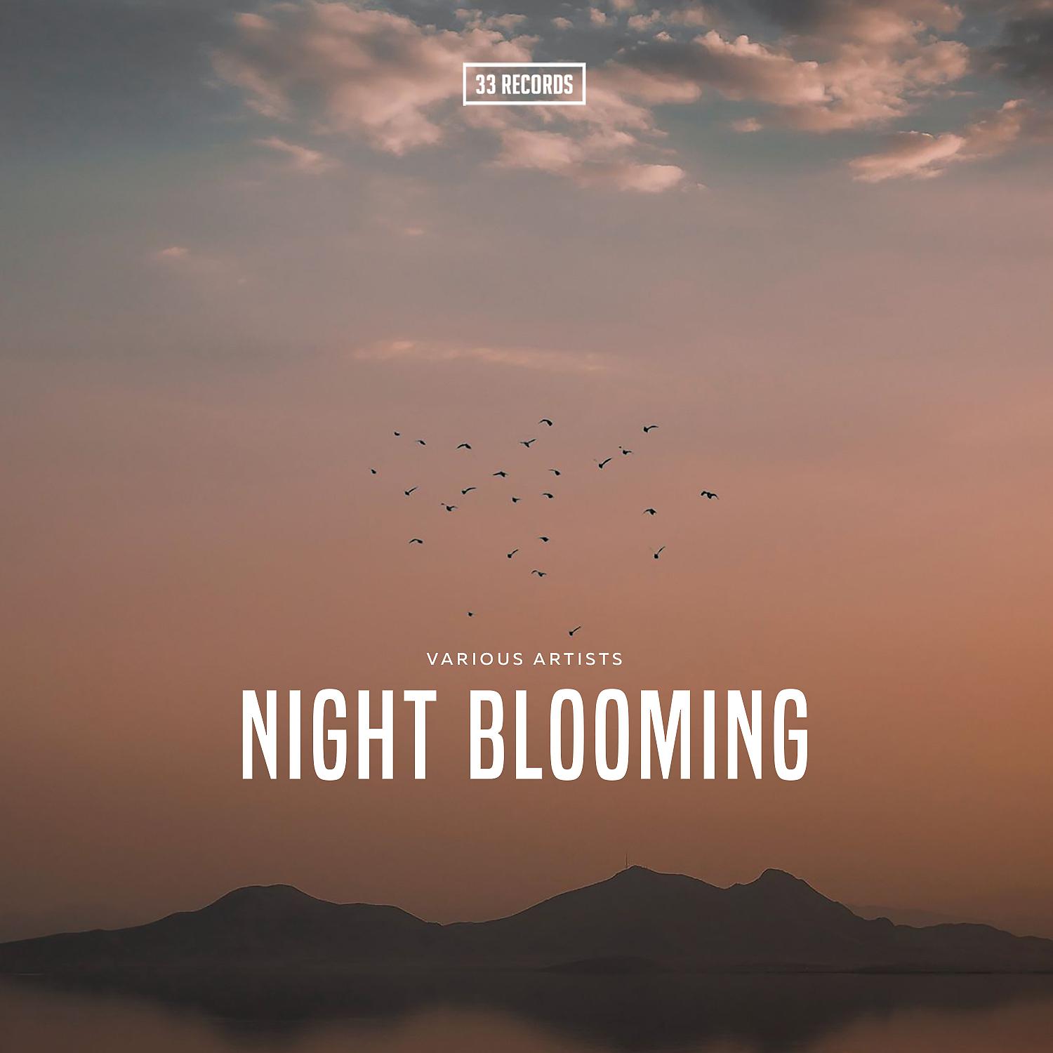 Постер альбома Night Blooming