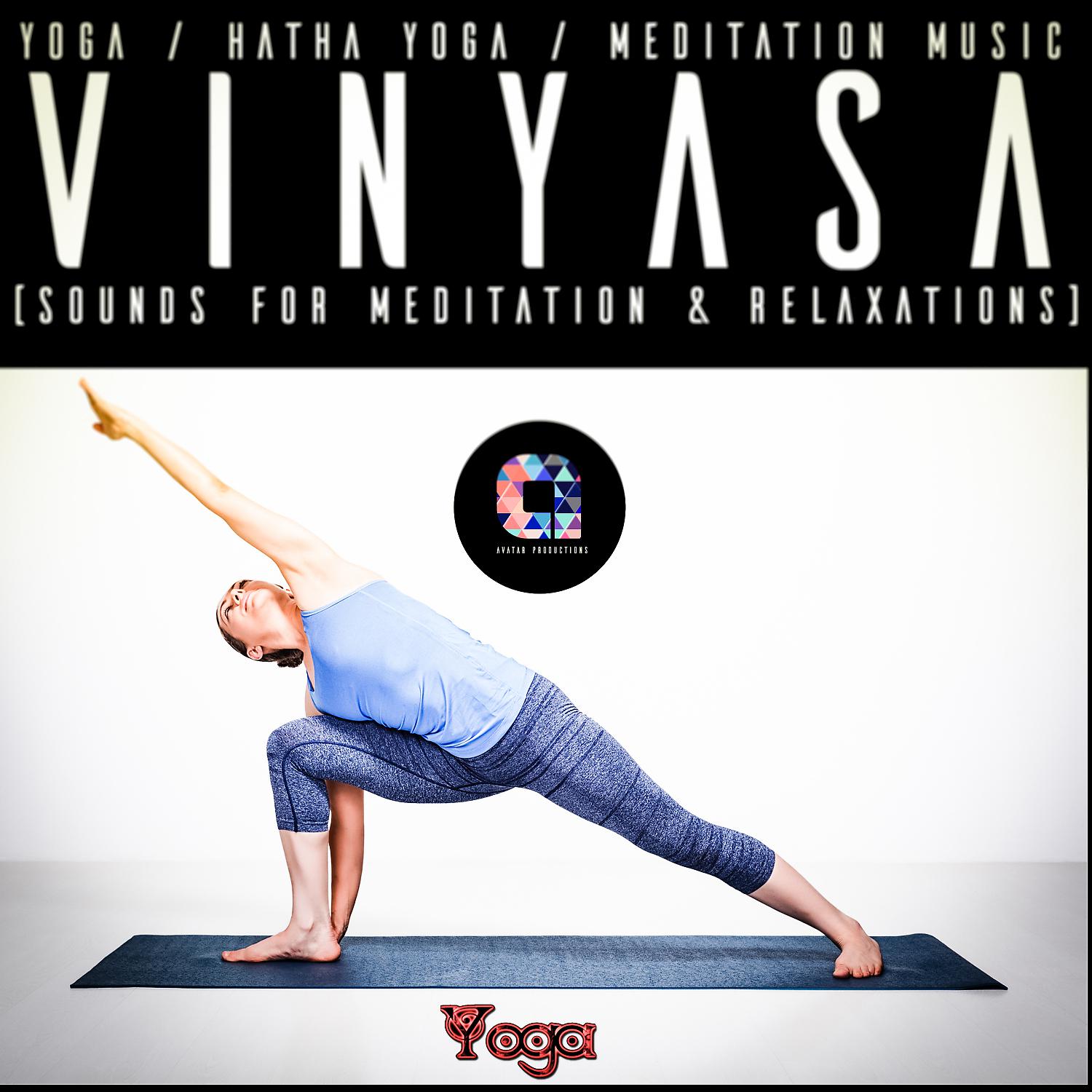 Постер альбома Vinyasa
