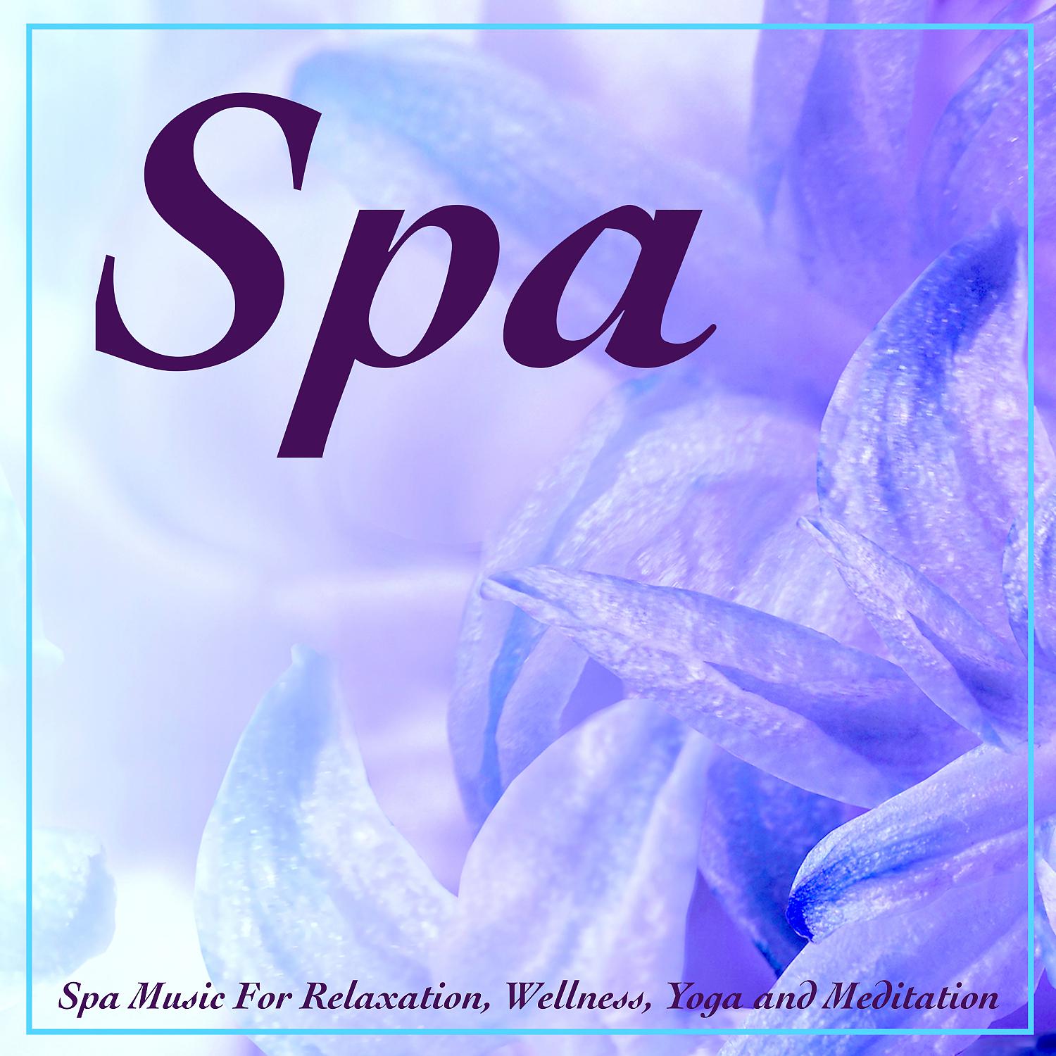Постер альбома Spa Music For Relaxation, Wellness, Yoga and Meditation