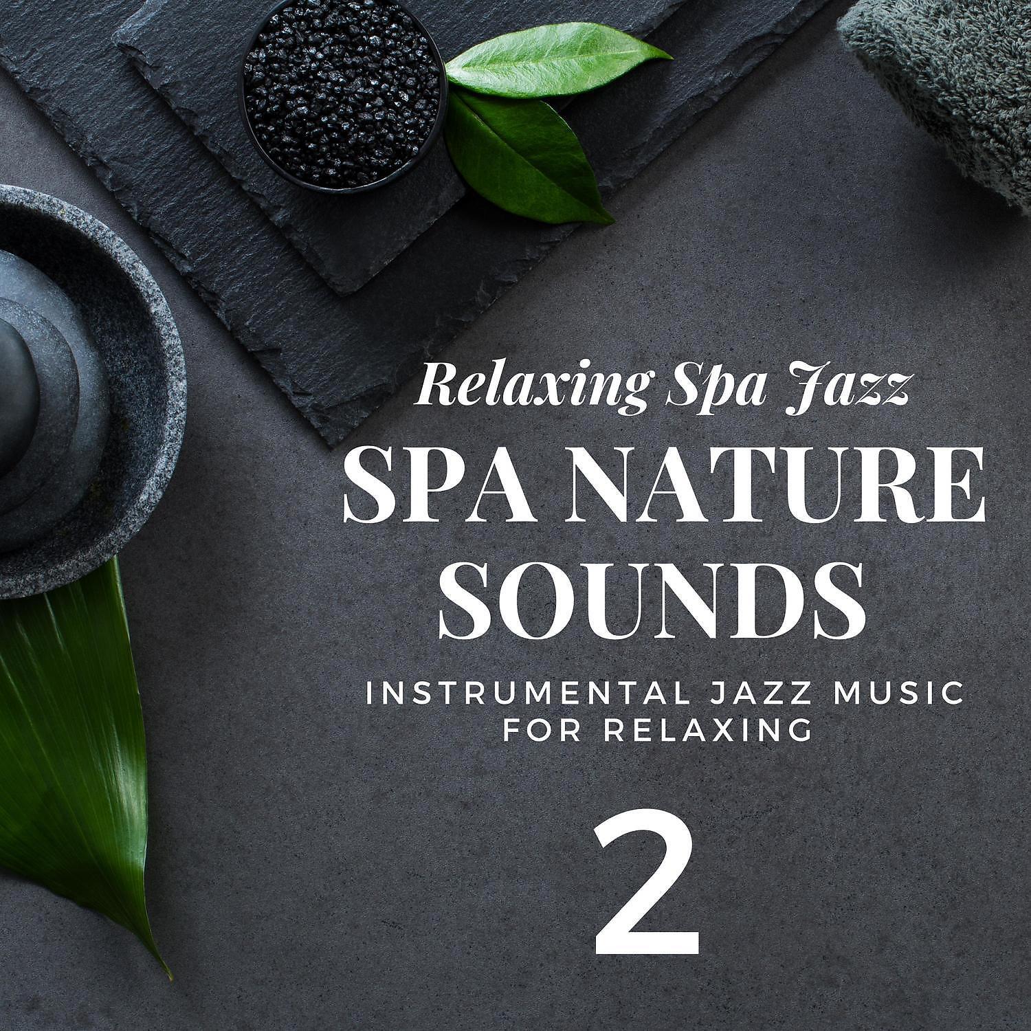 Relaxing Spa Jazz - Nature Sounds - Spa Music For Relaxation (SPA Jazz Music)