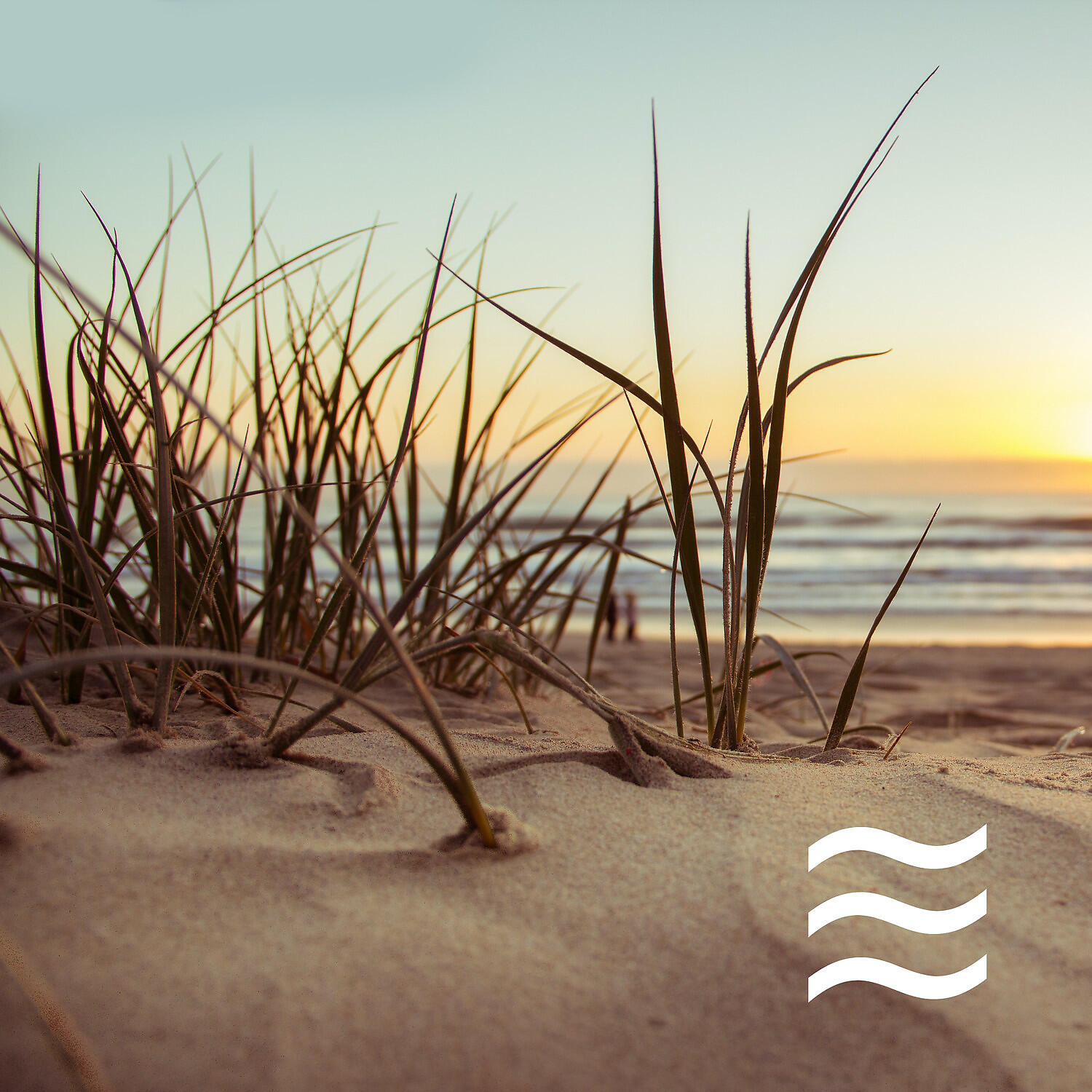 Clear Mind Ocean Sounds - Relaxing Still Ocean for Smooth Sleep