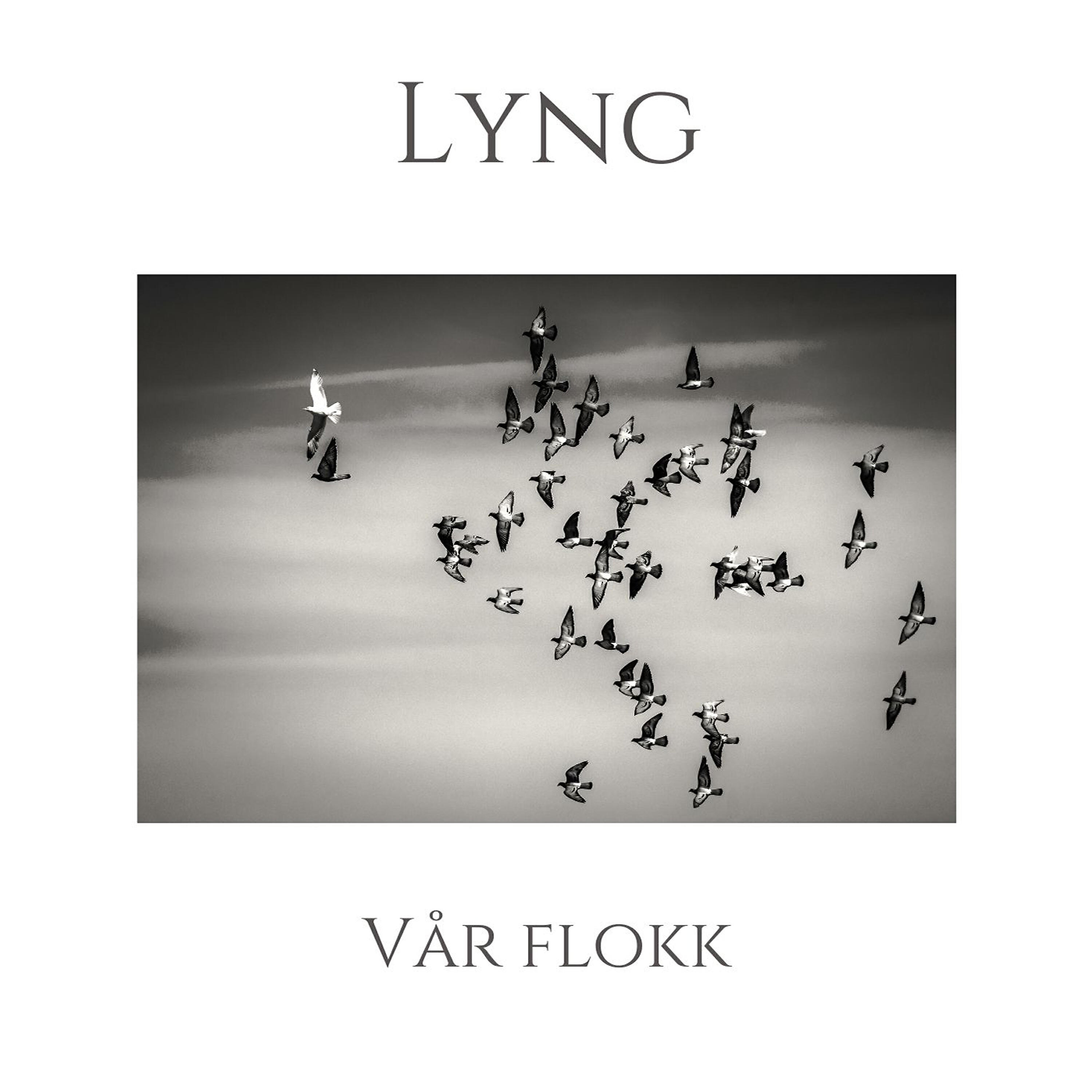 Lyng - Julekrydder
