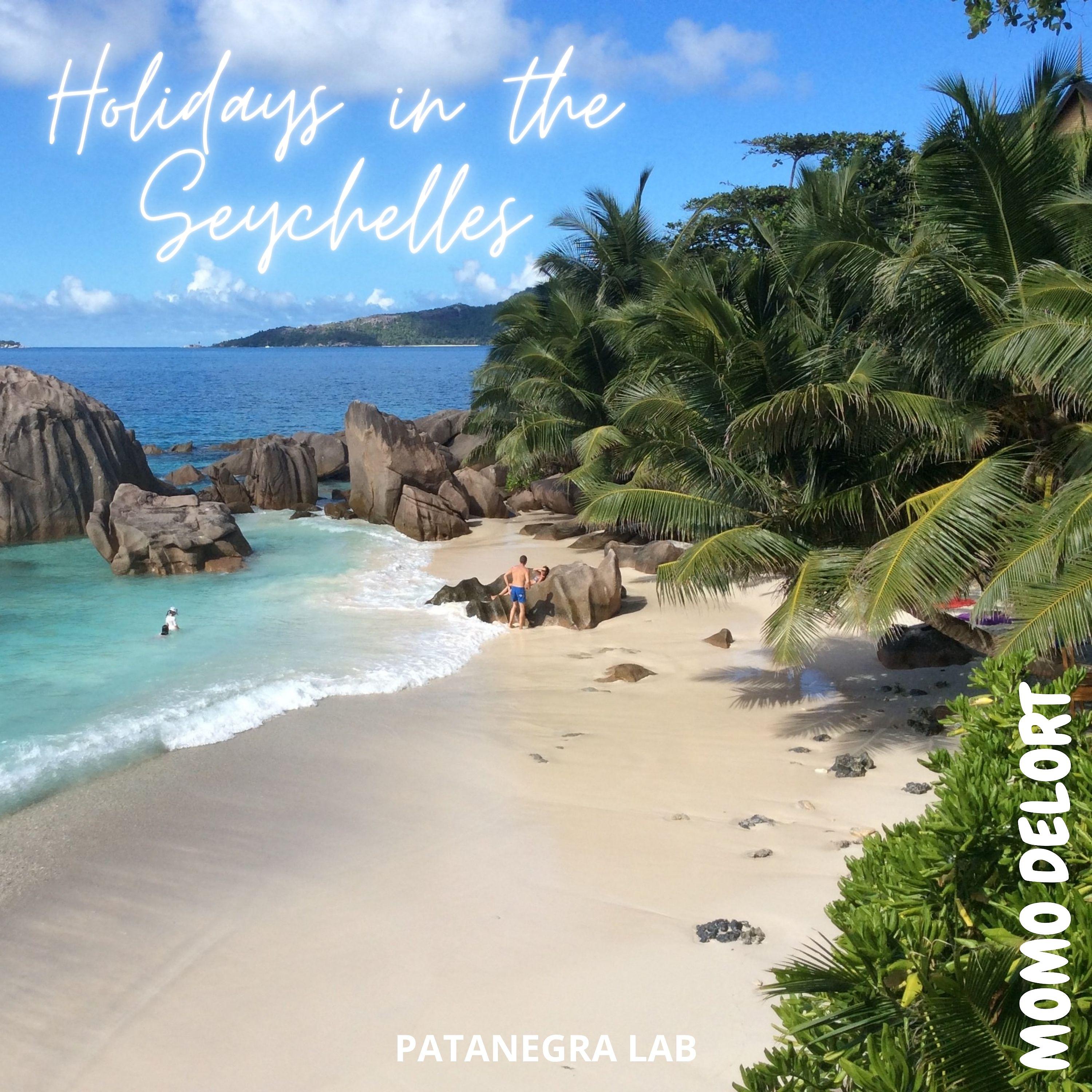 Постер альбома Holidays in the Seychelles