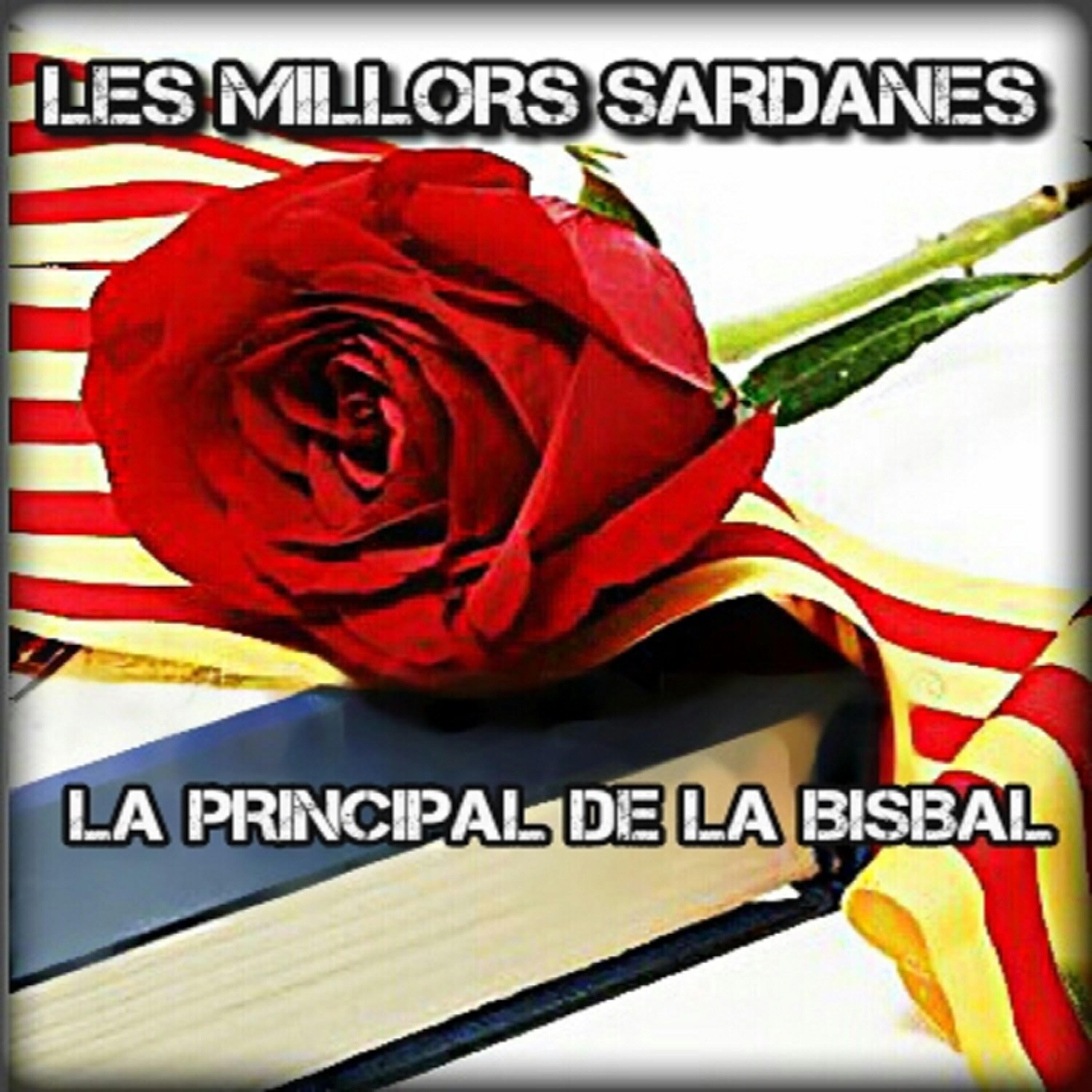 La Principal De La Bisbal - La Santa Espina