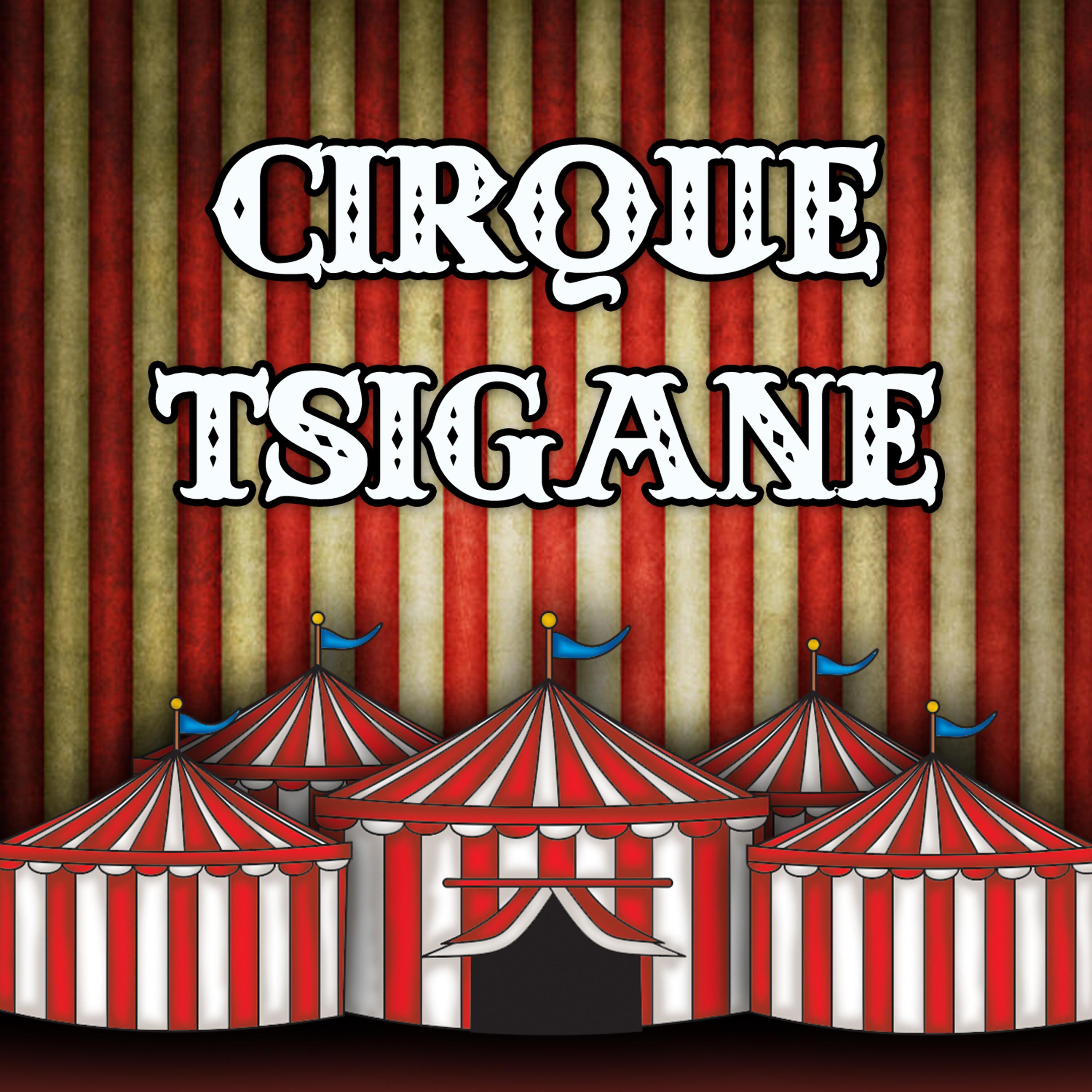 Постер альбома Cirque Tsigane